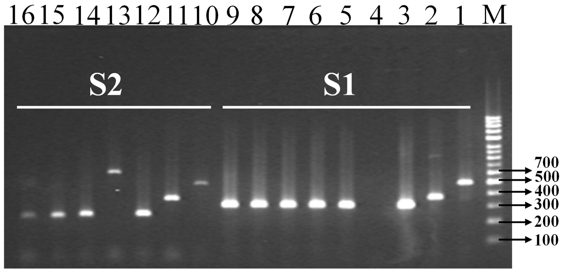 Pathogens 11 01075 g003 Pathogens 11 01075 g003