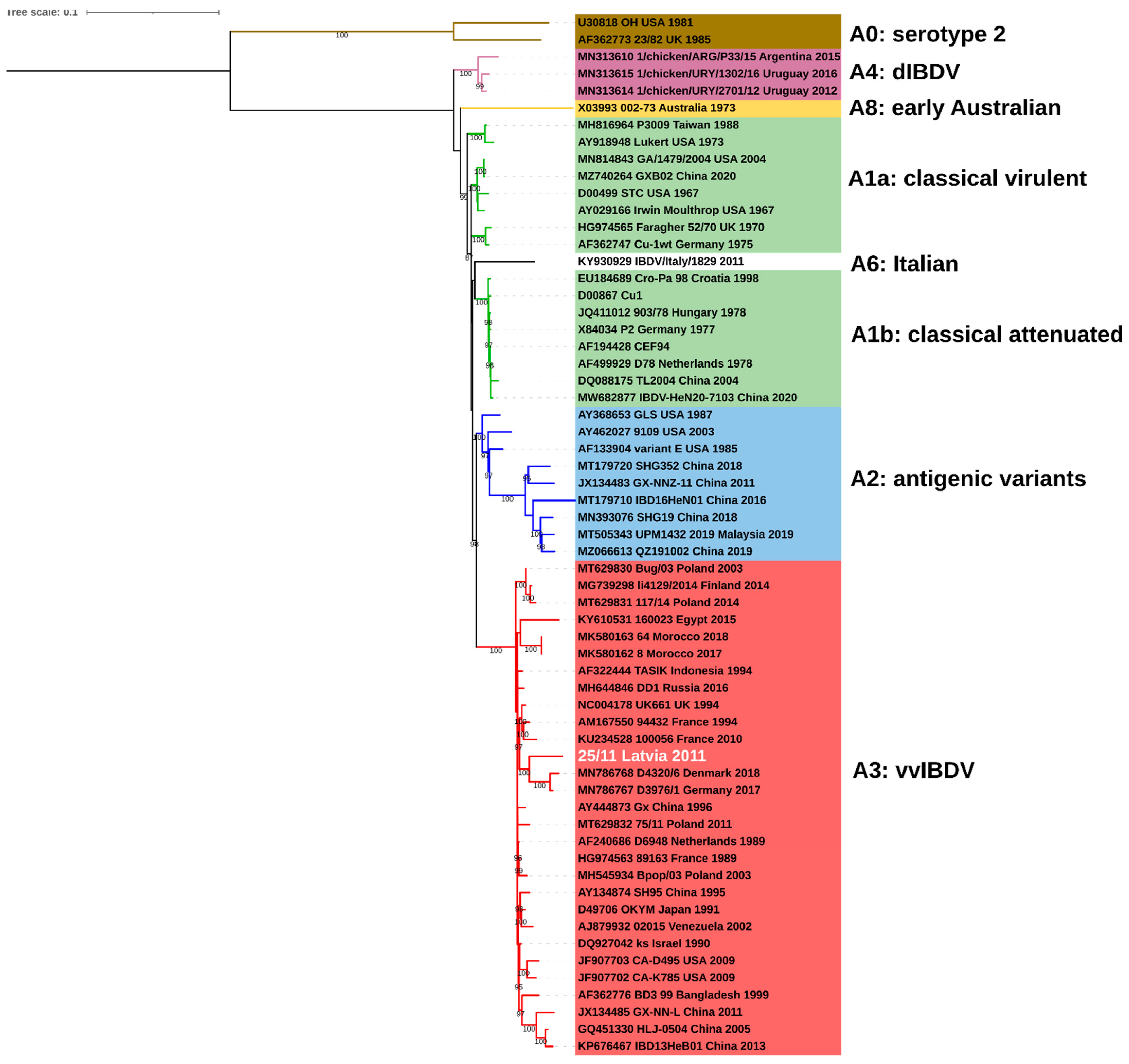Pathogens 11 01081 g001 Pathogens 11 01081 g001