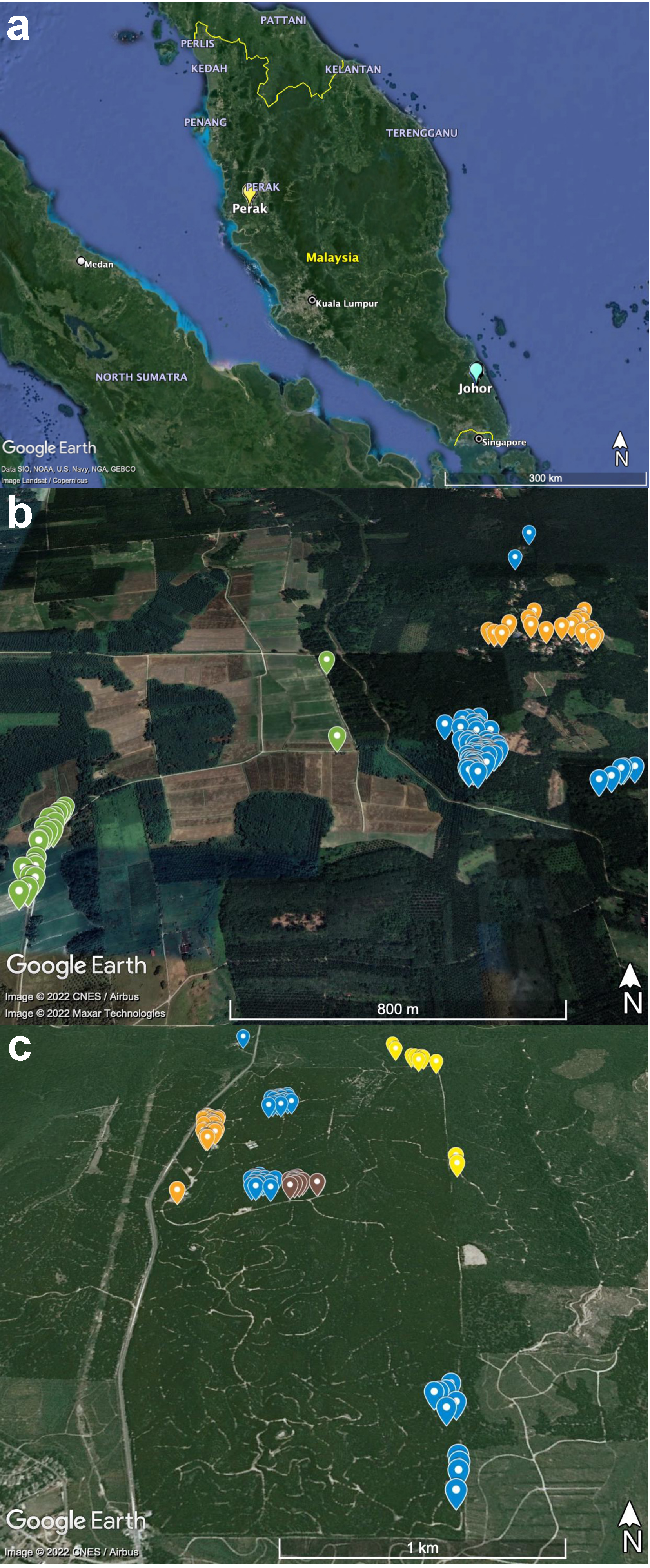 Pathogens 11 01087 g001