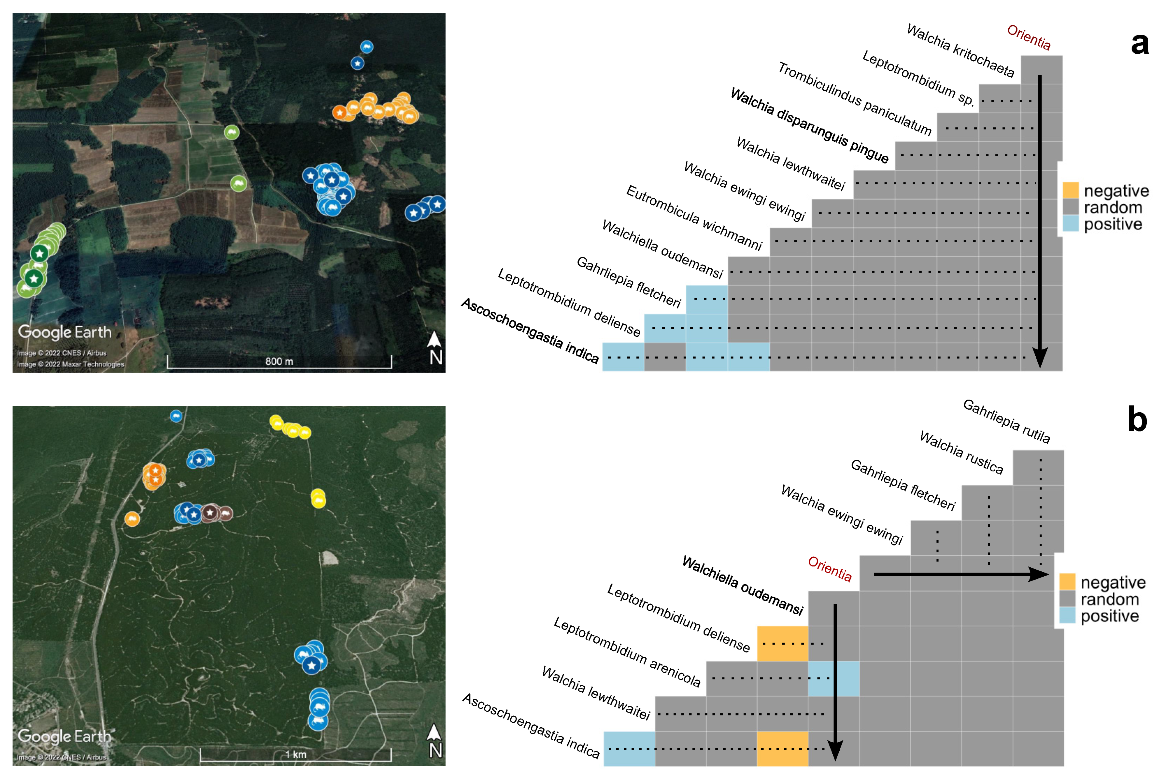 Pathogens 11 01087 g006
