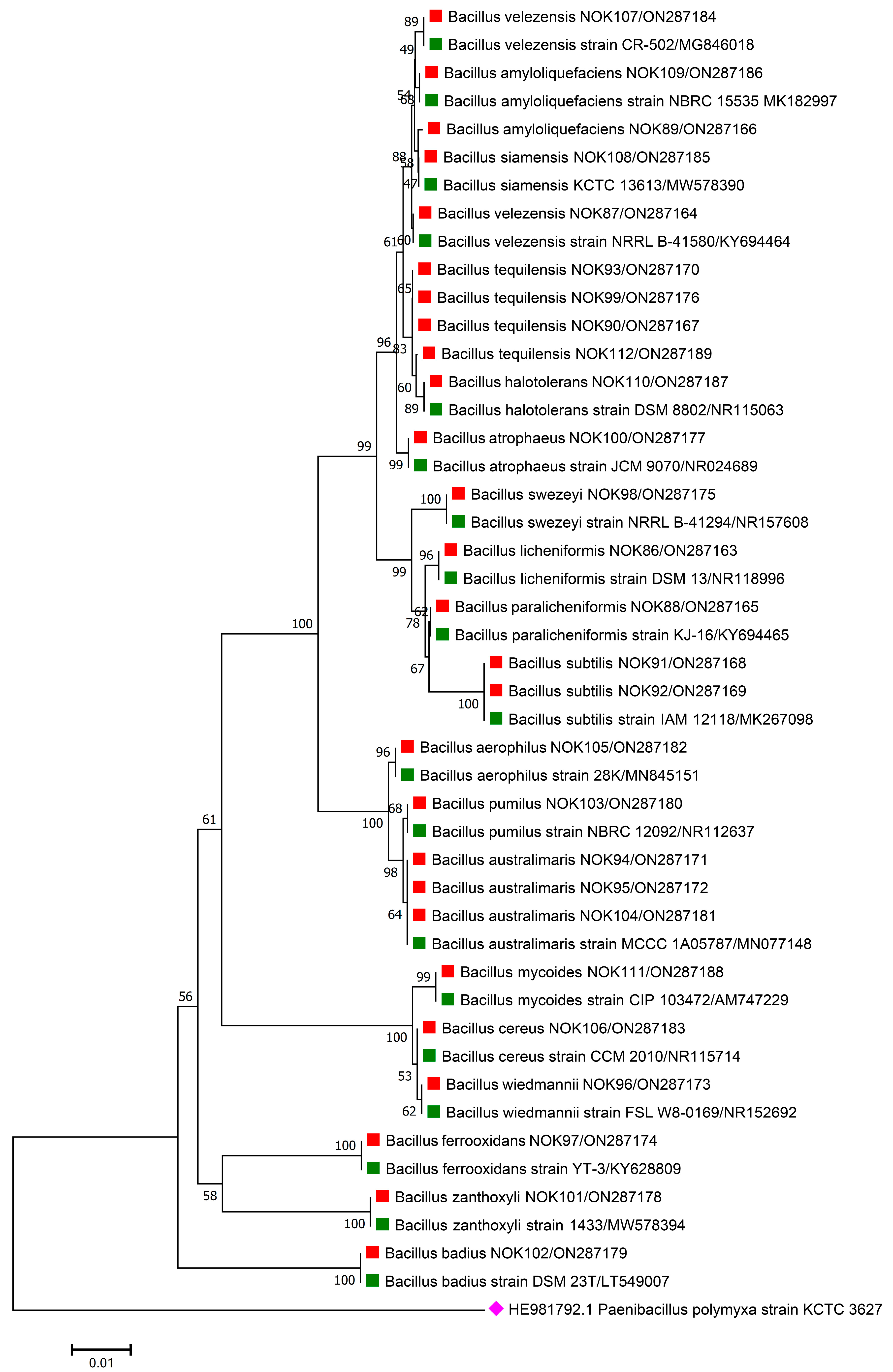 Pathogens 11 01088 g002 Pathogens 11 01088 g002