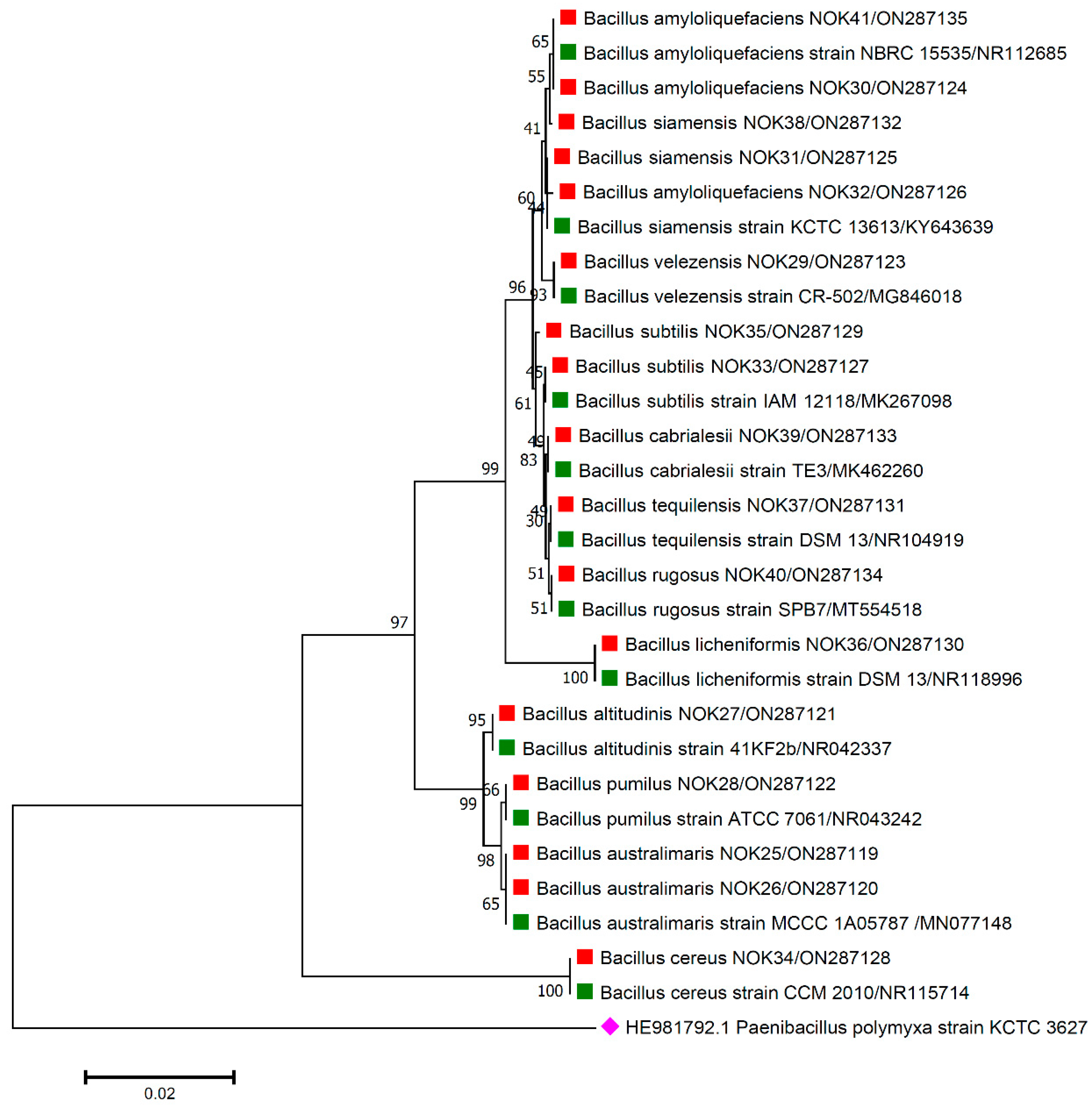 Pathogens 11 01088 g003 Pathogens 11 01088 g003