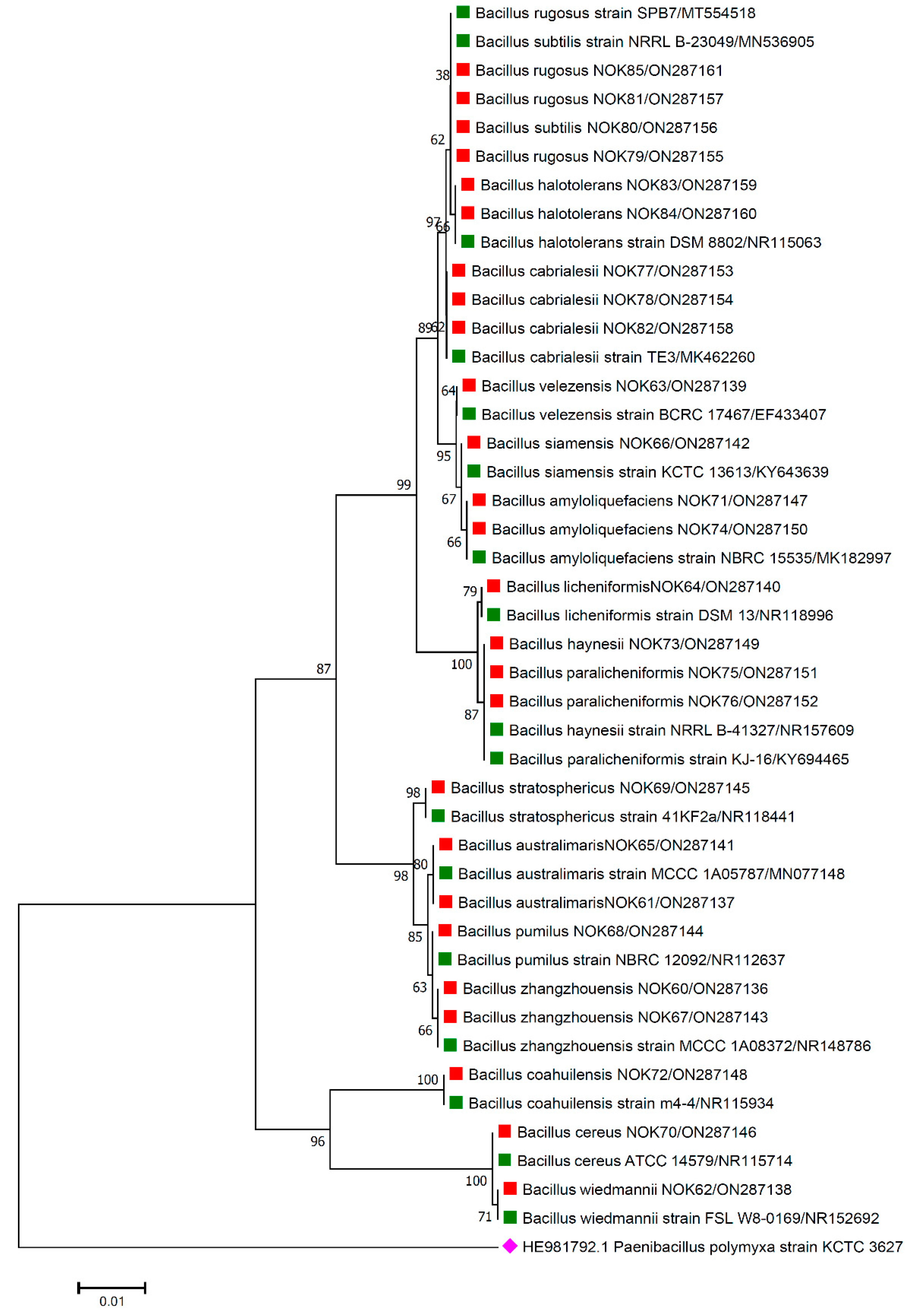 Pathogens 11 01088 g004 Pathogens 11 01088 g004
