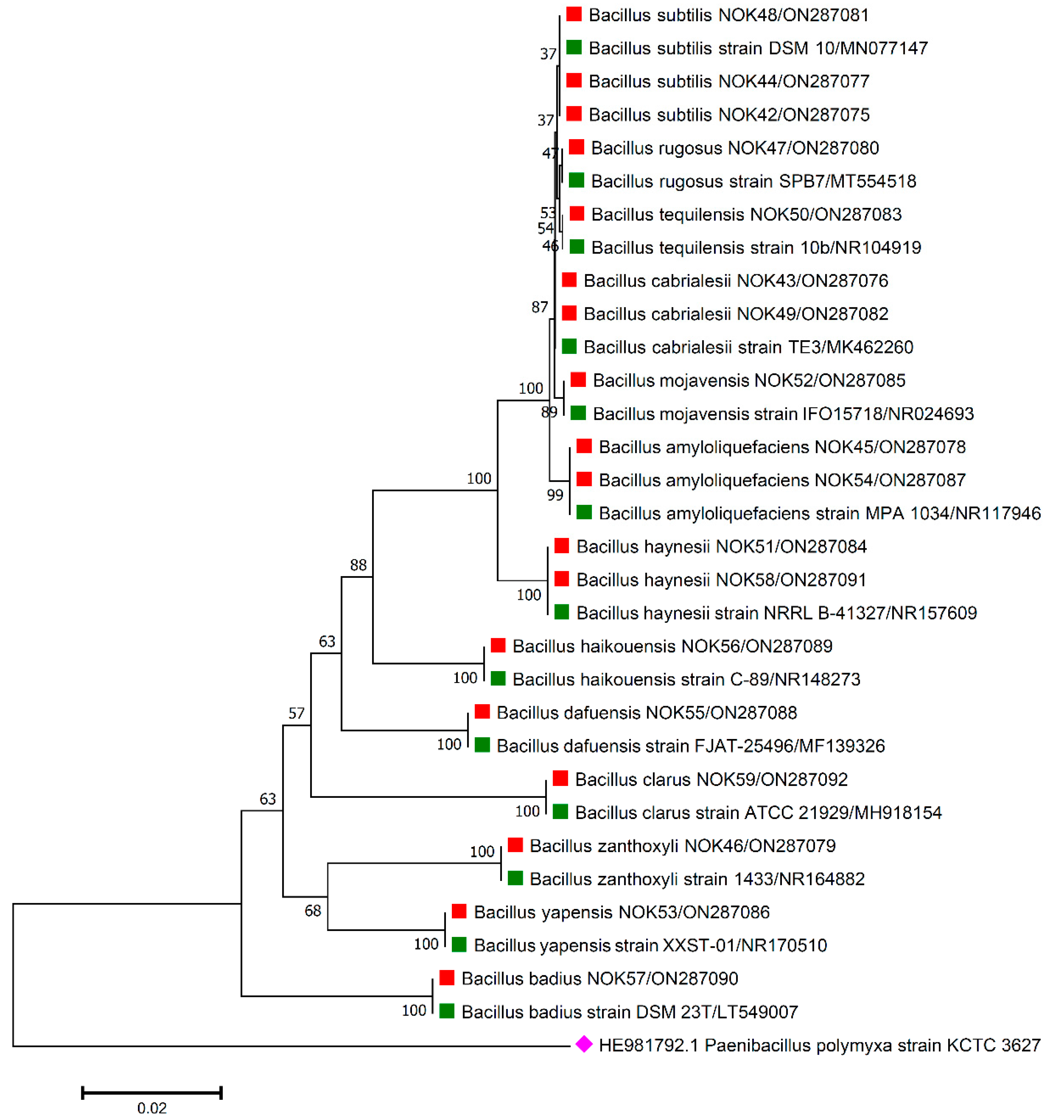 Pathogens 11 01088 g005 Pathogens 11 01088 g005