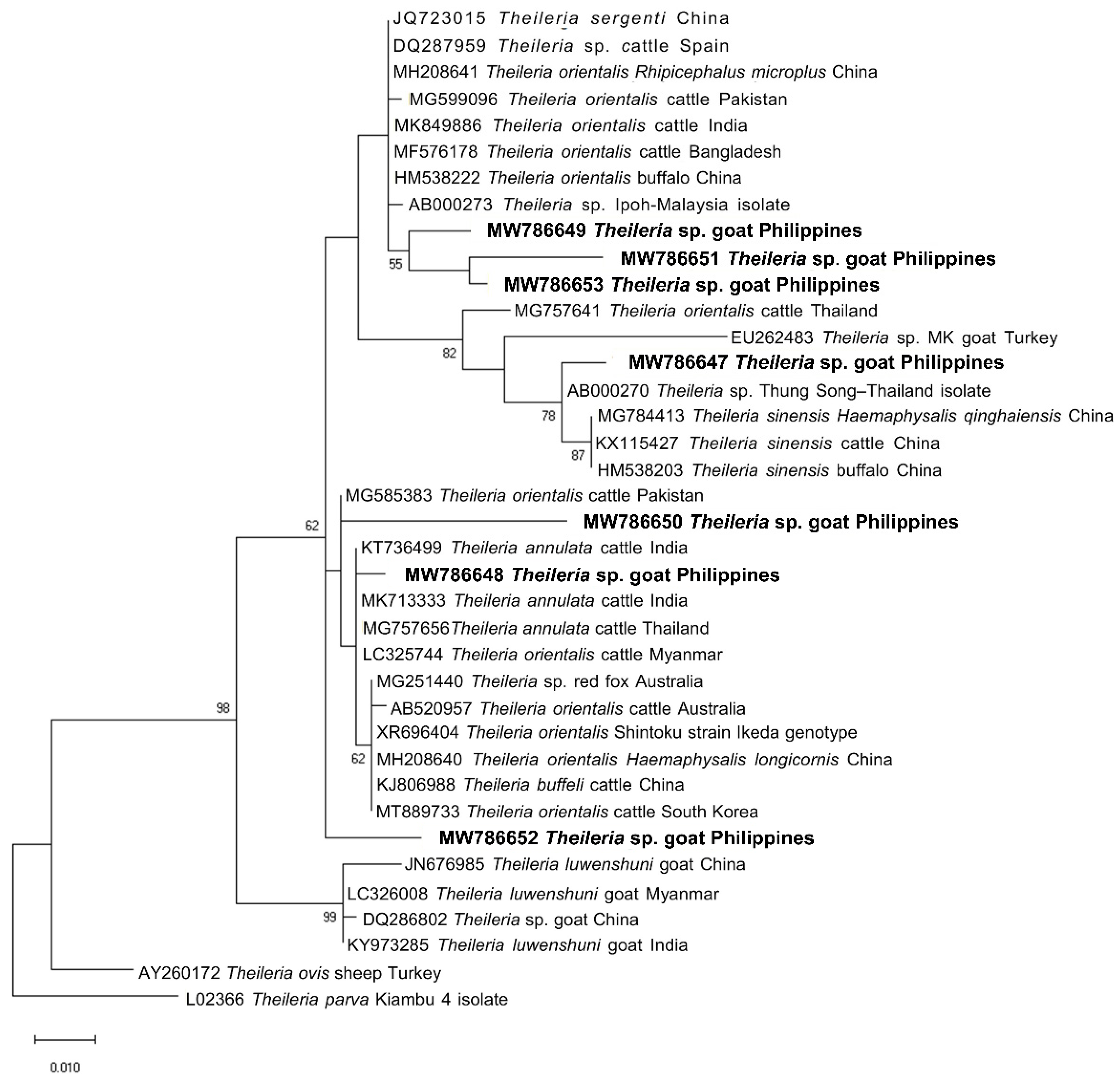 Pathogens 11 01109 g002 Pathogens 11 01109 g002