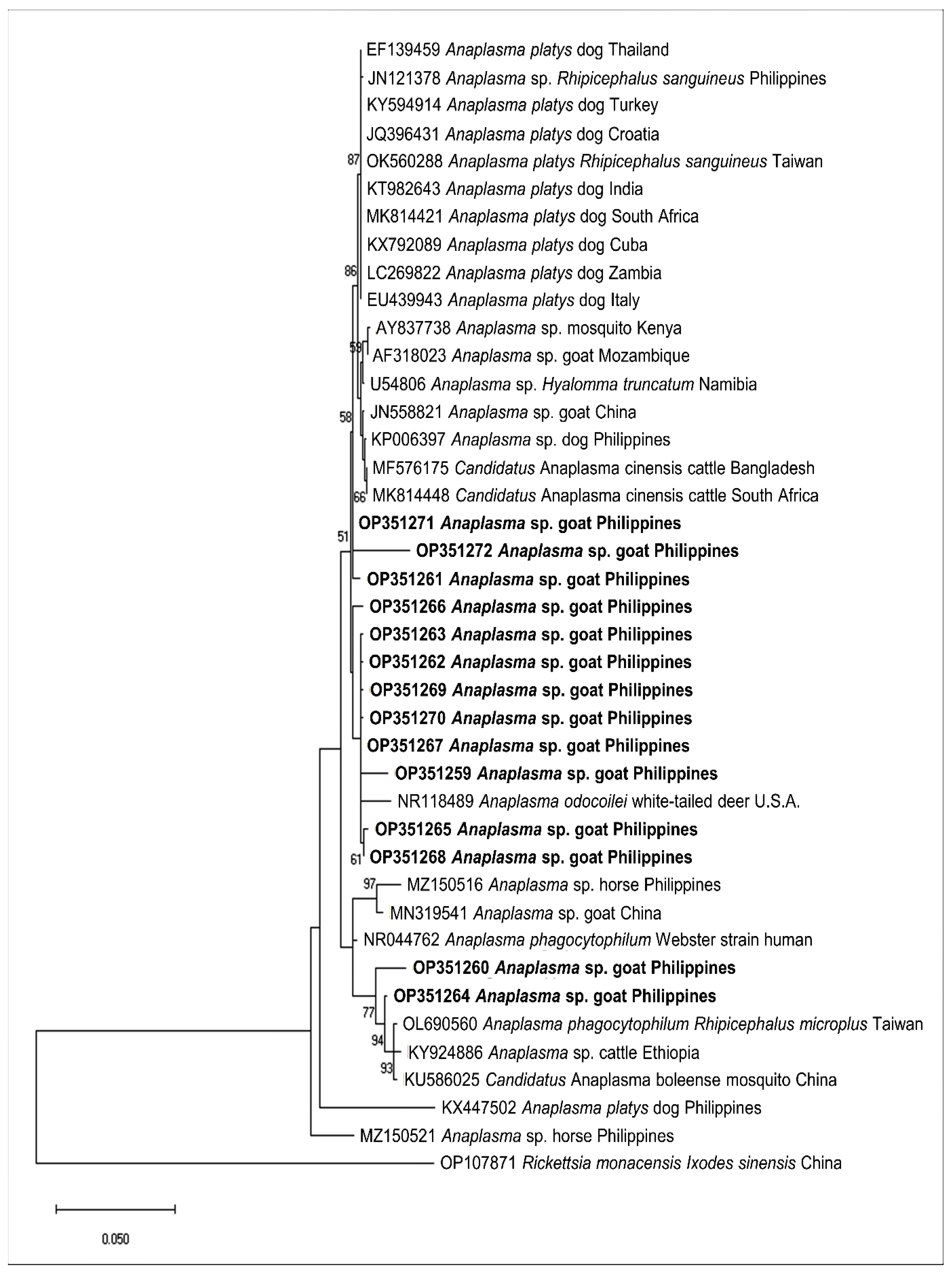 Pathogens 11 01109 g003 Pathogens 11 01109 g003