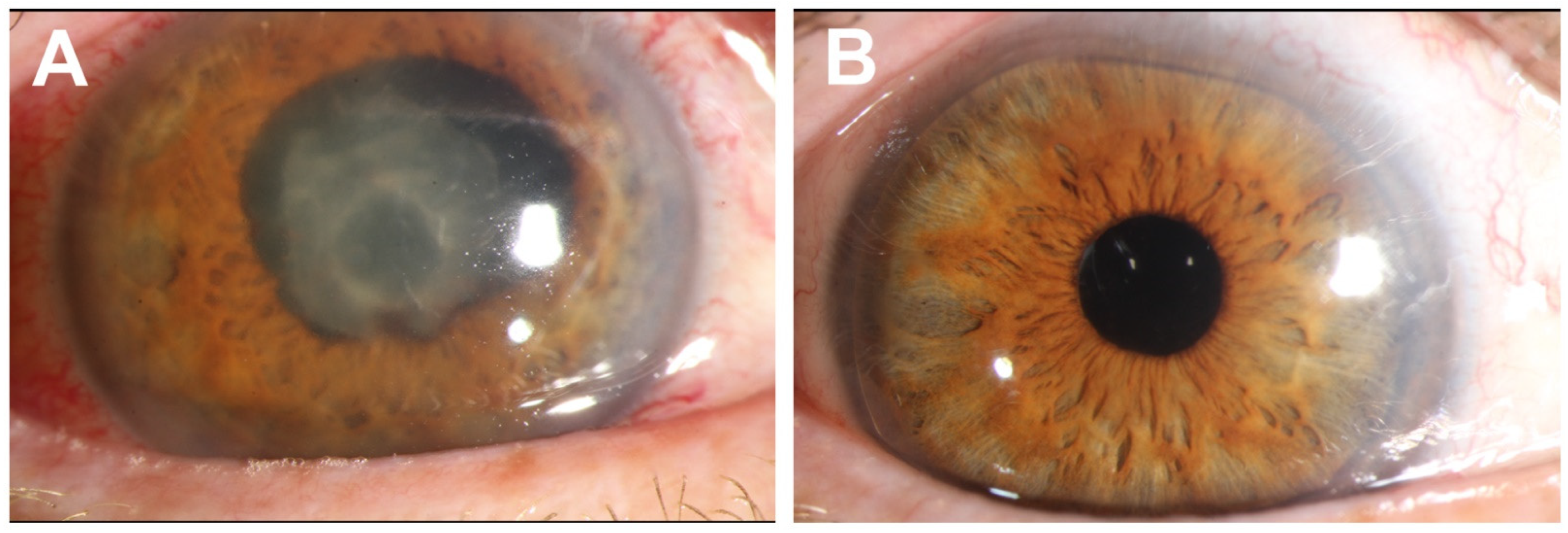 Pathogens 11 01113 g001 Pathogens 11 01113 g001