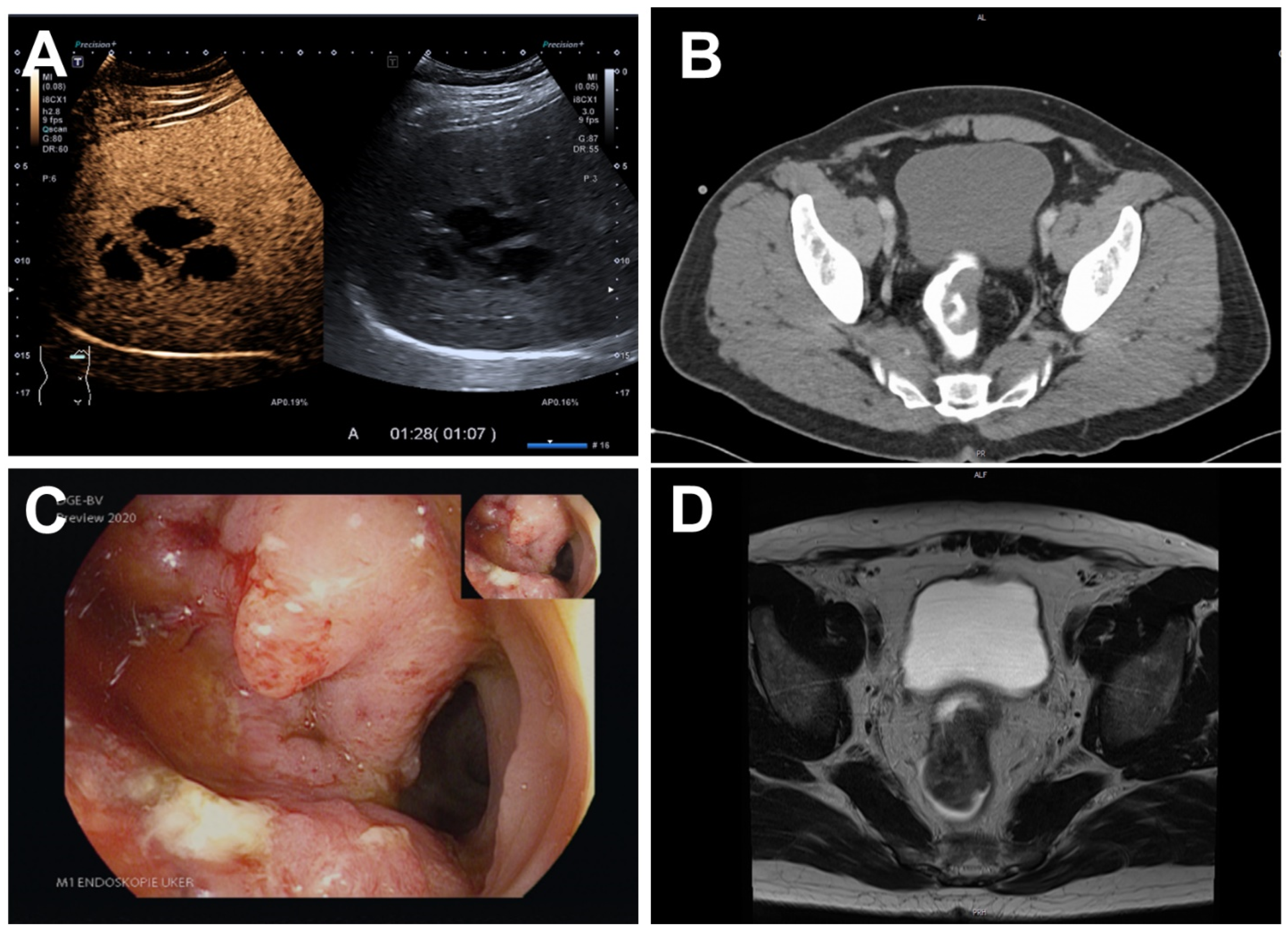 Pathogens 11 01113 g002 Pathogens 11 01113 g002