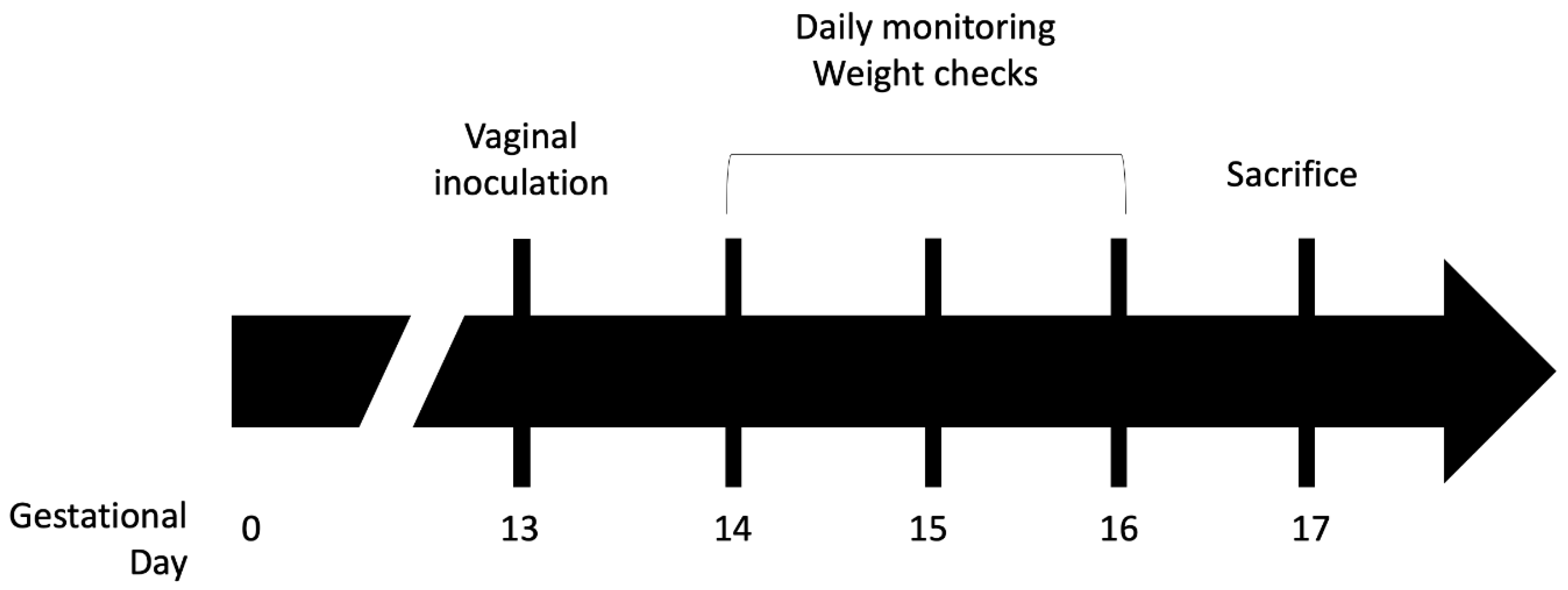 Pathogens 11 01115 g001 Pathogens 11 01115 g001