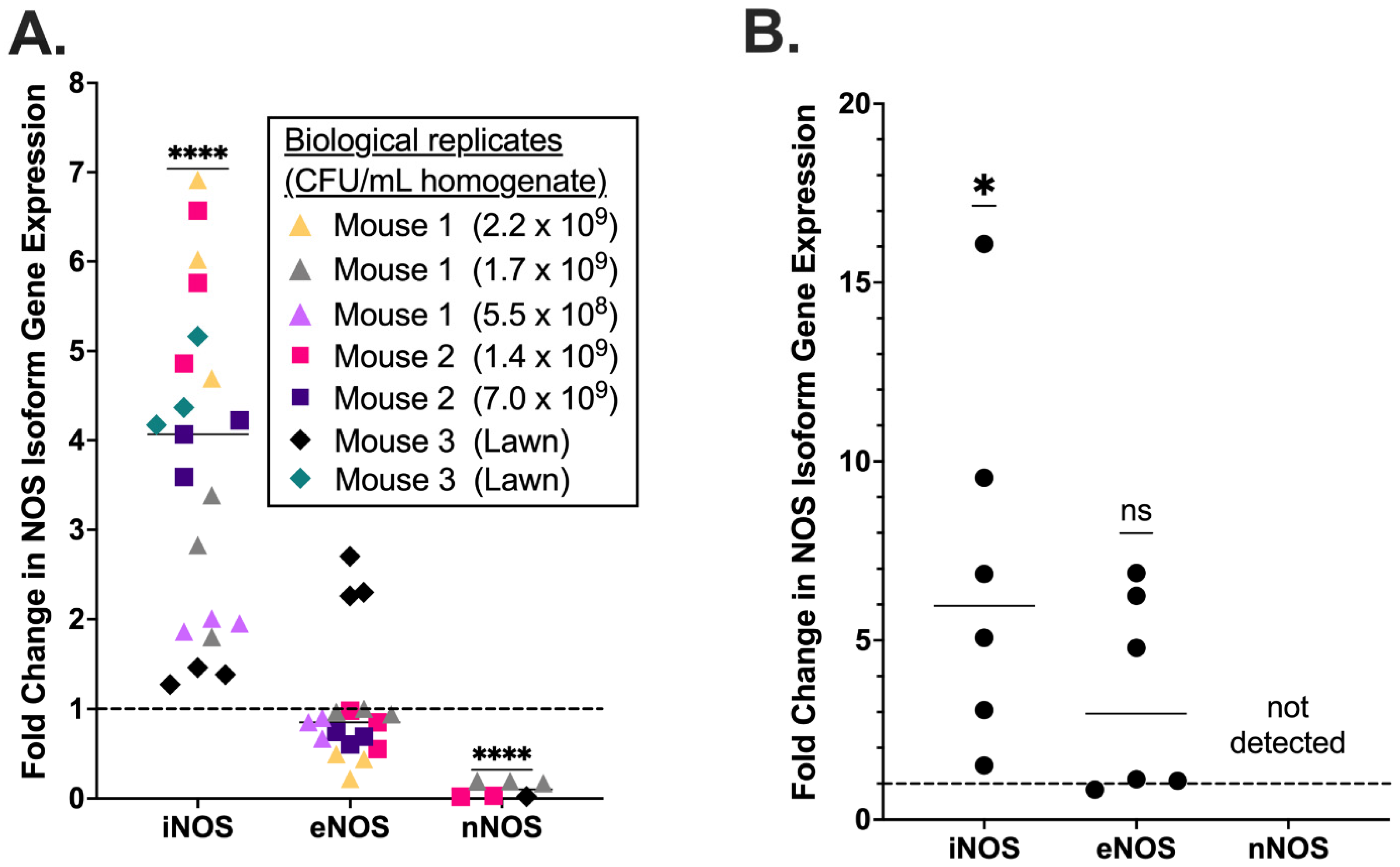 Pathogens 11 01115 g002 Pathogens 11 01115 g002
