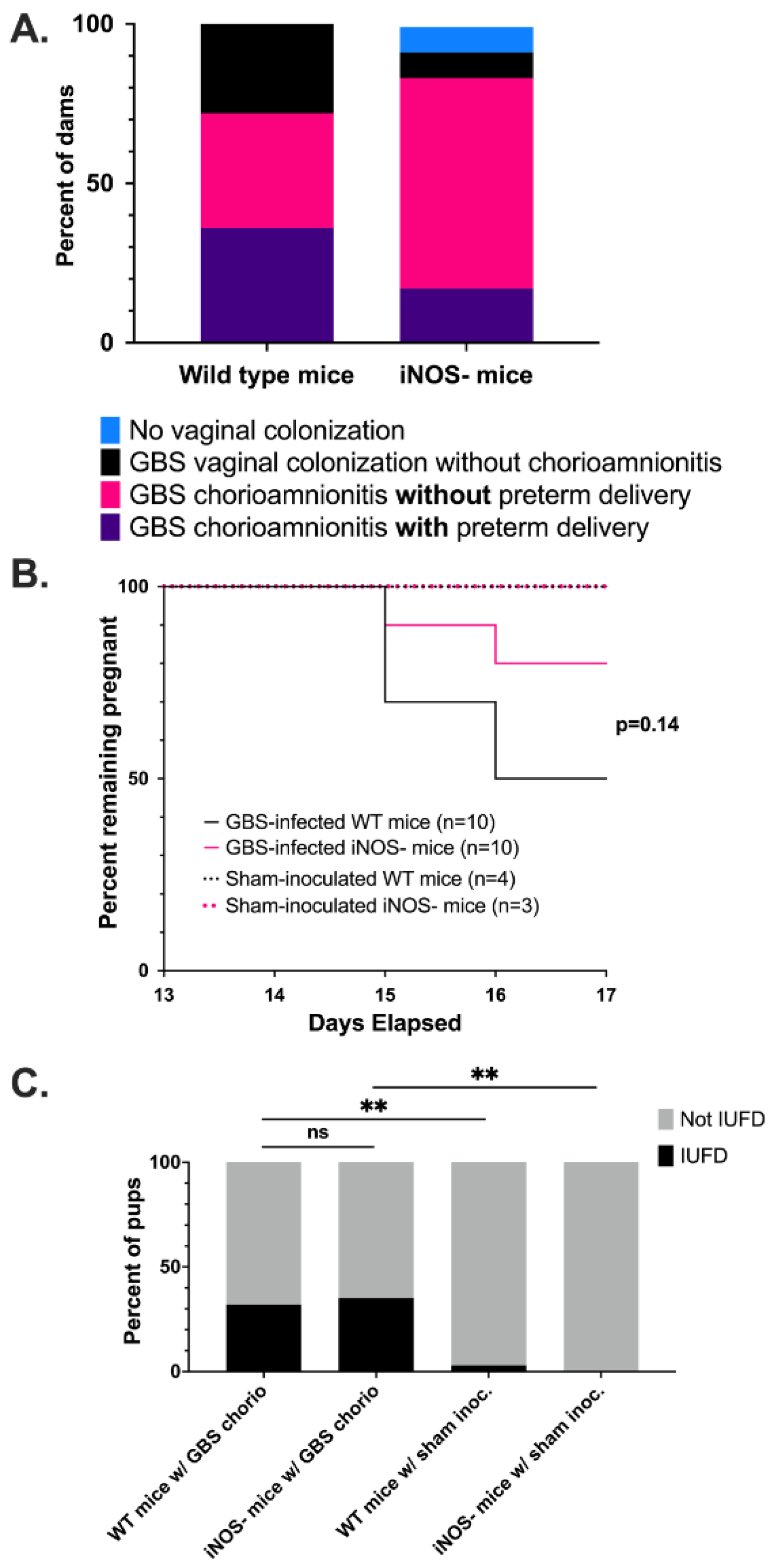 Pathogens 11 01115 g004 Pathogens 11 01115 g004