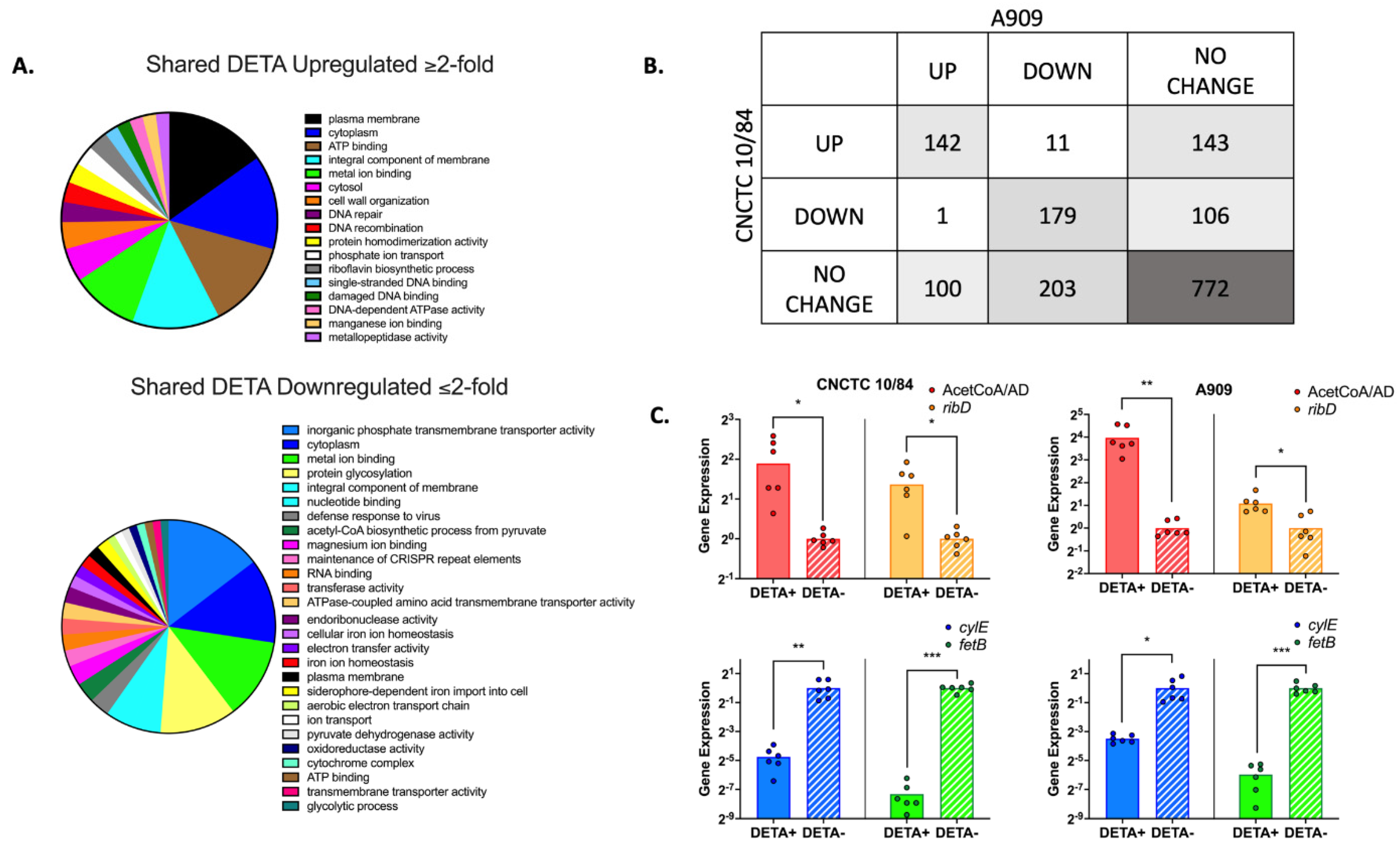 Pathogens 11 01115 g007 Pathogens 11 01115 g007