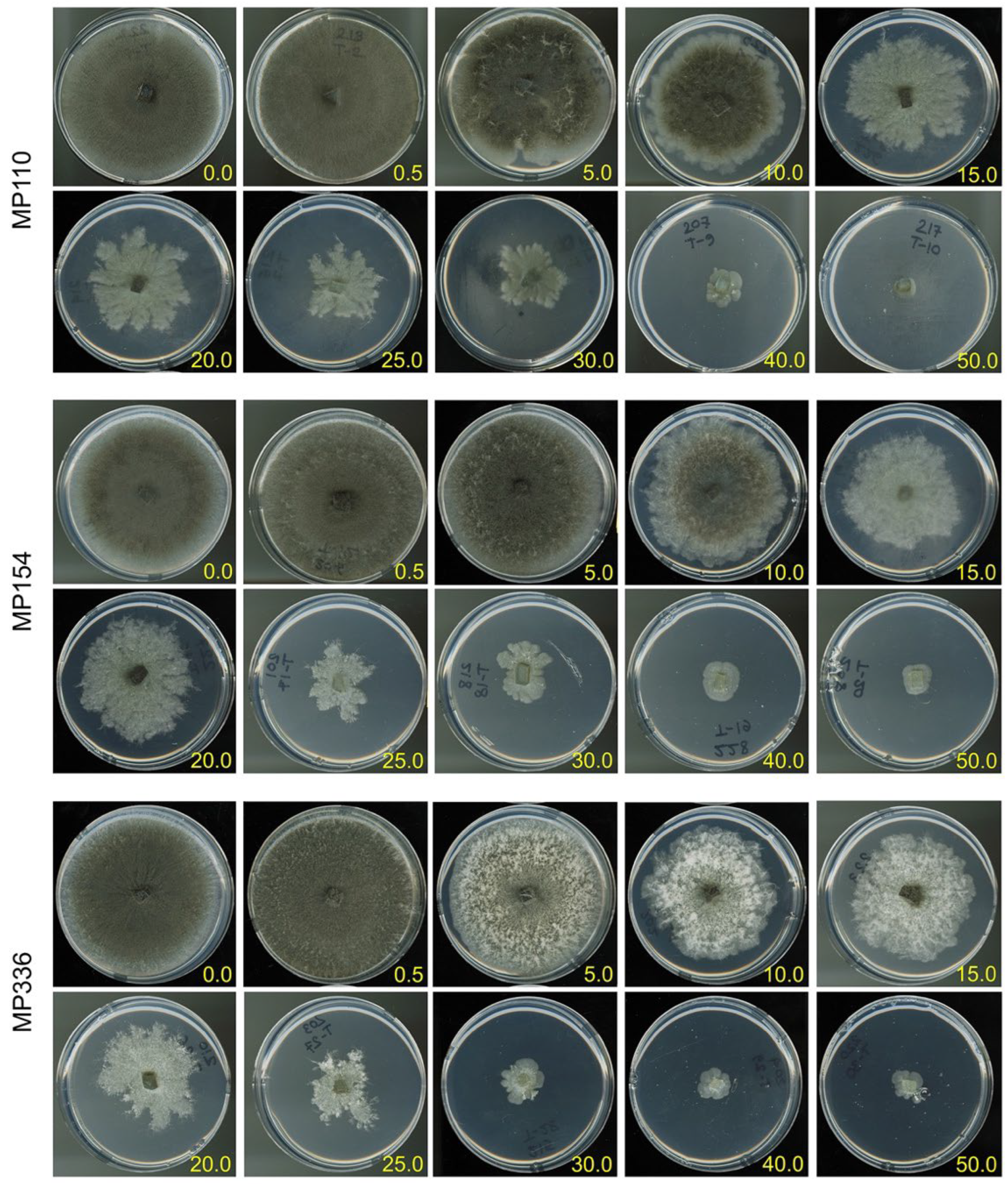 Pathogens 11 01117 g004 Pathogens 11 01117 g004