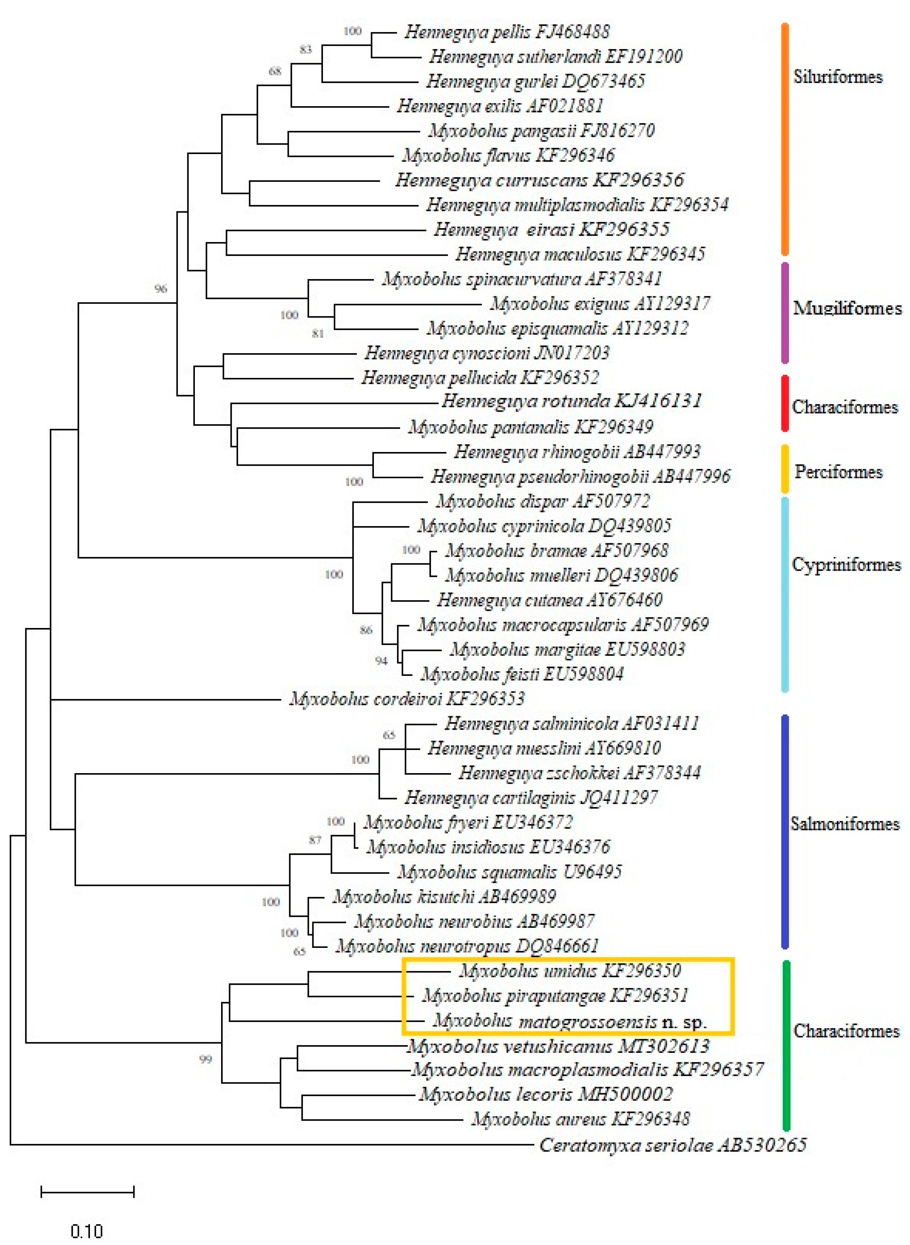 Pathogens 11 01119 g003 550