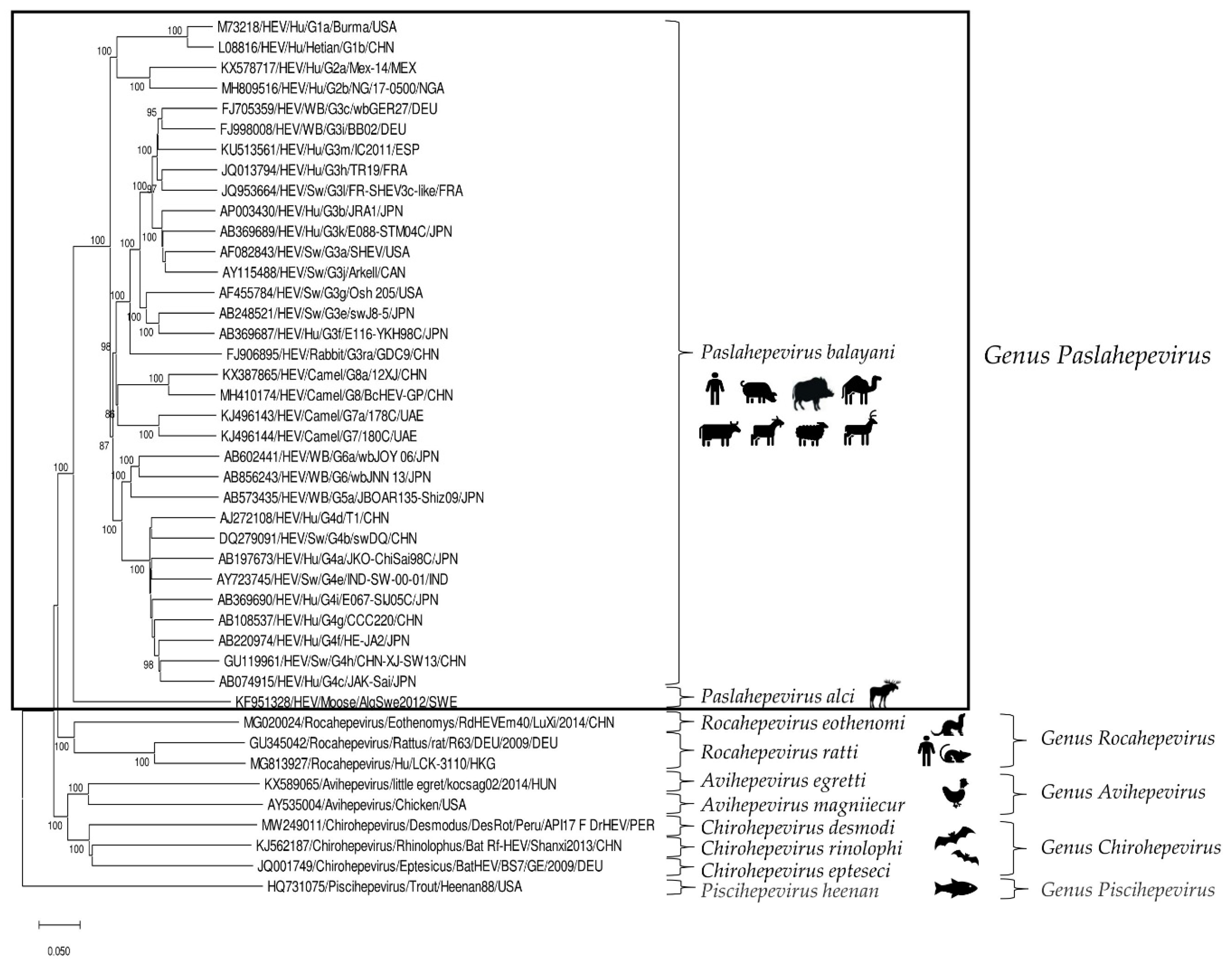 Pathogens 11 01124 g001