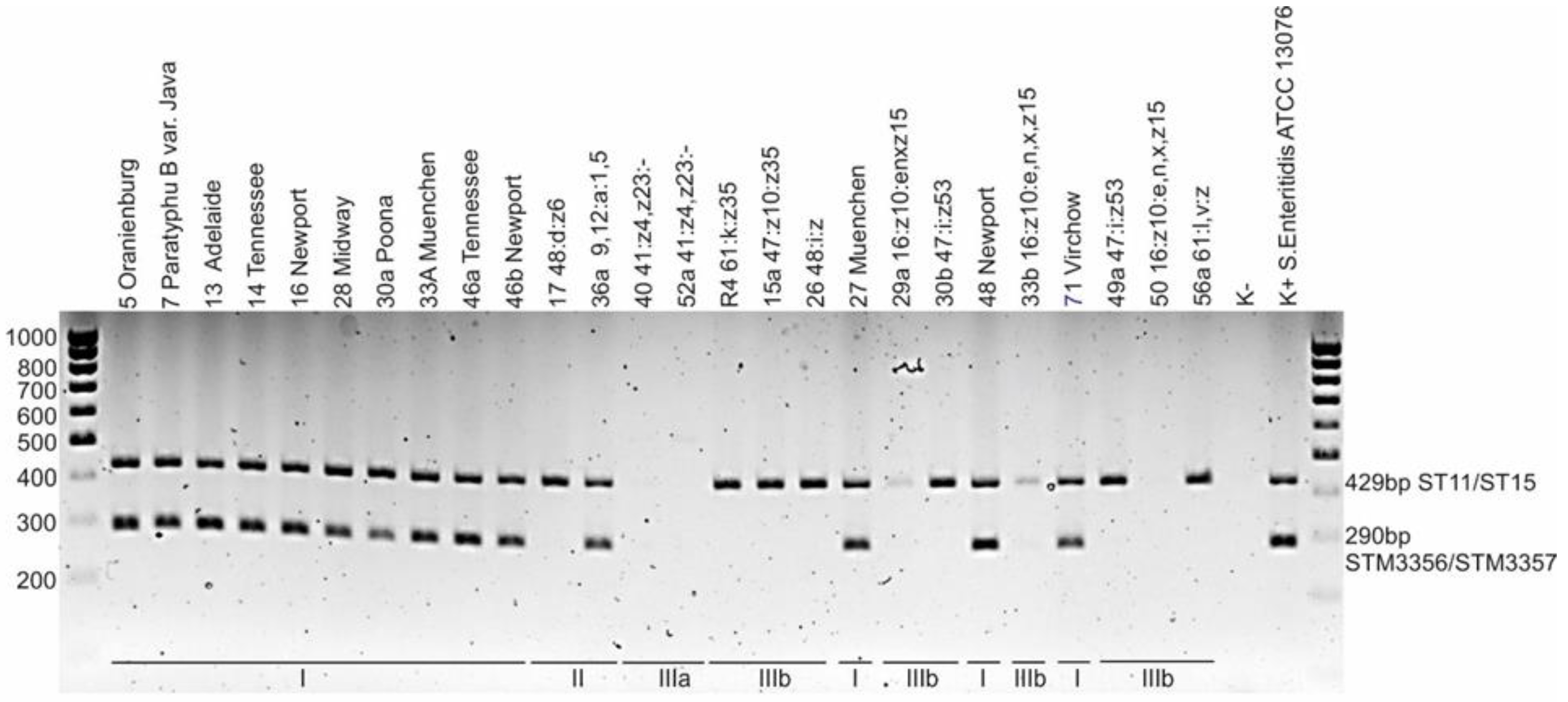 Pathogens 11 01125 g001