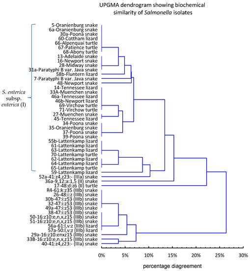 Pathogens Free FullText Pet Reptiles in Poland as a Potential