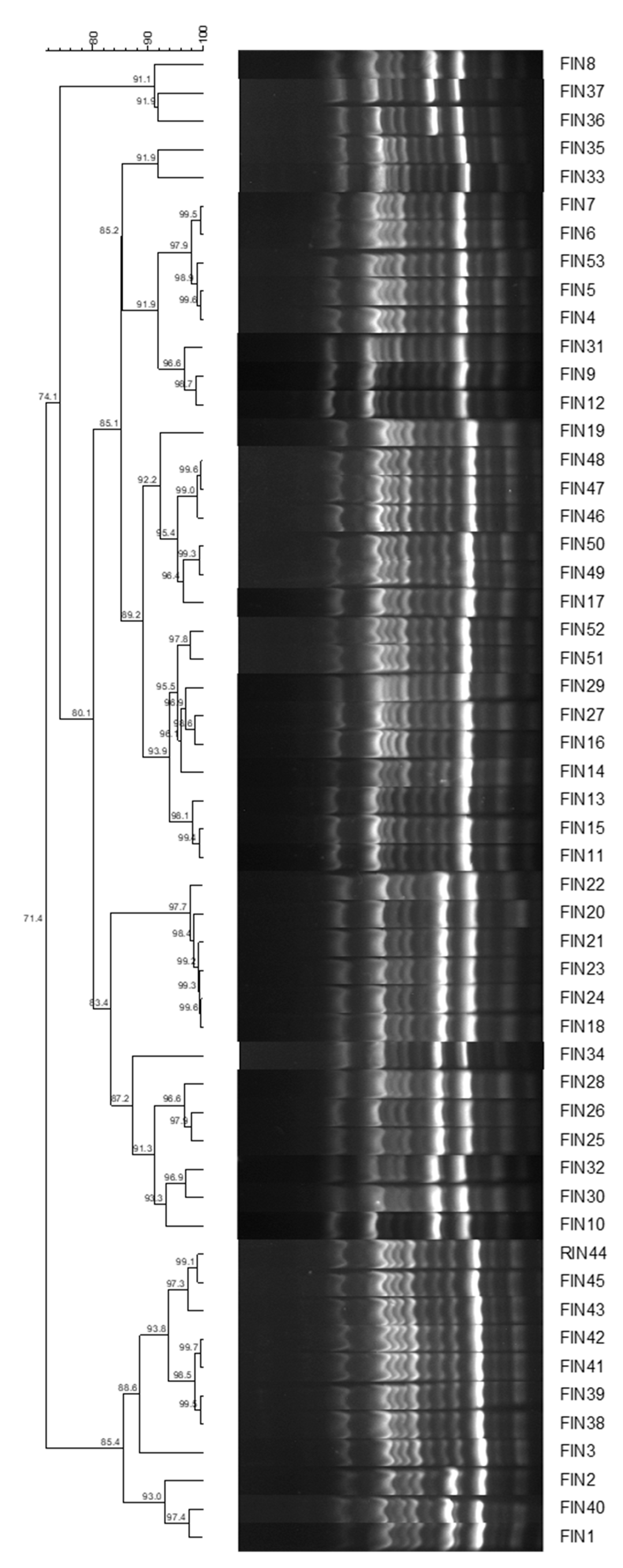 Pathogens 11 01126 g001 Pathogens 11 01126 g001