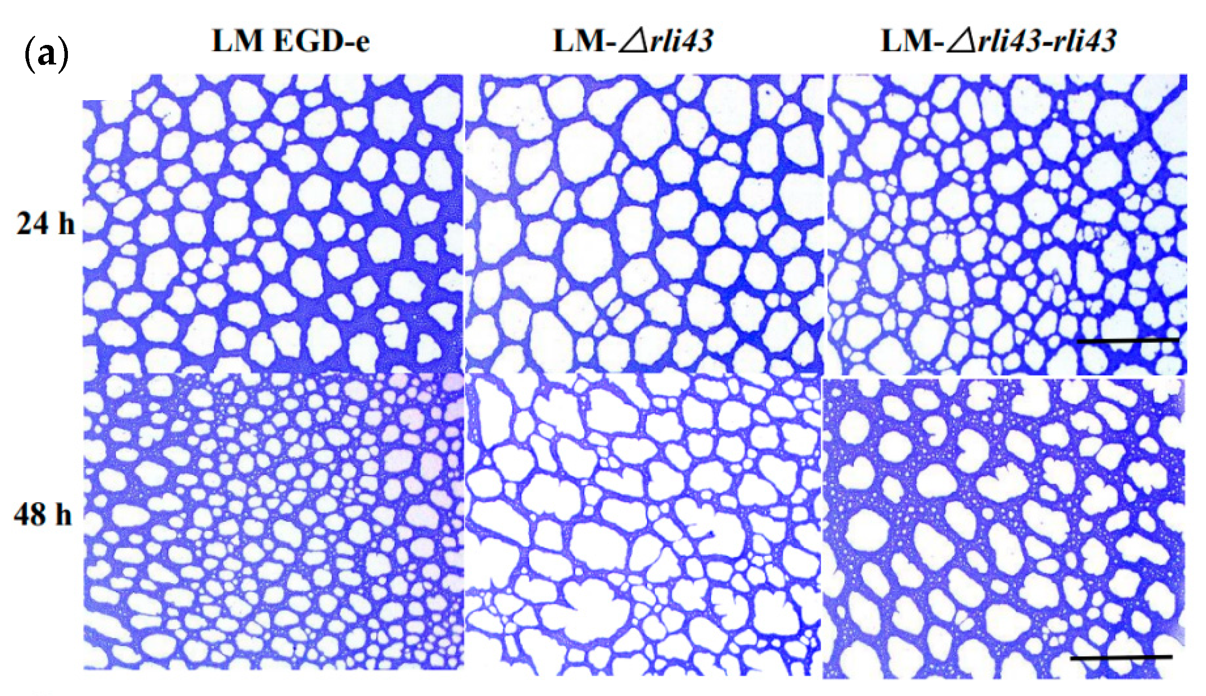 Pathogens 11 01137 g004a