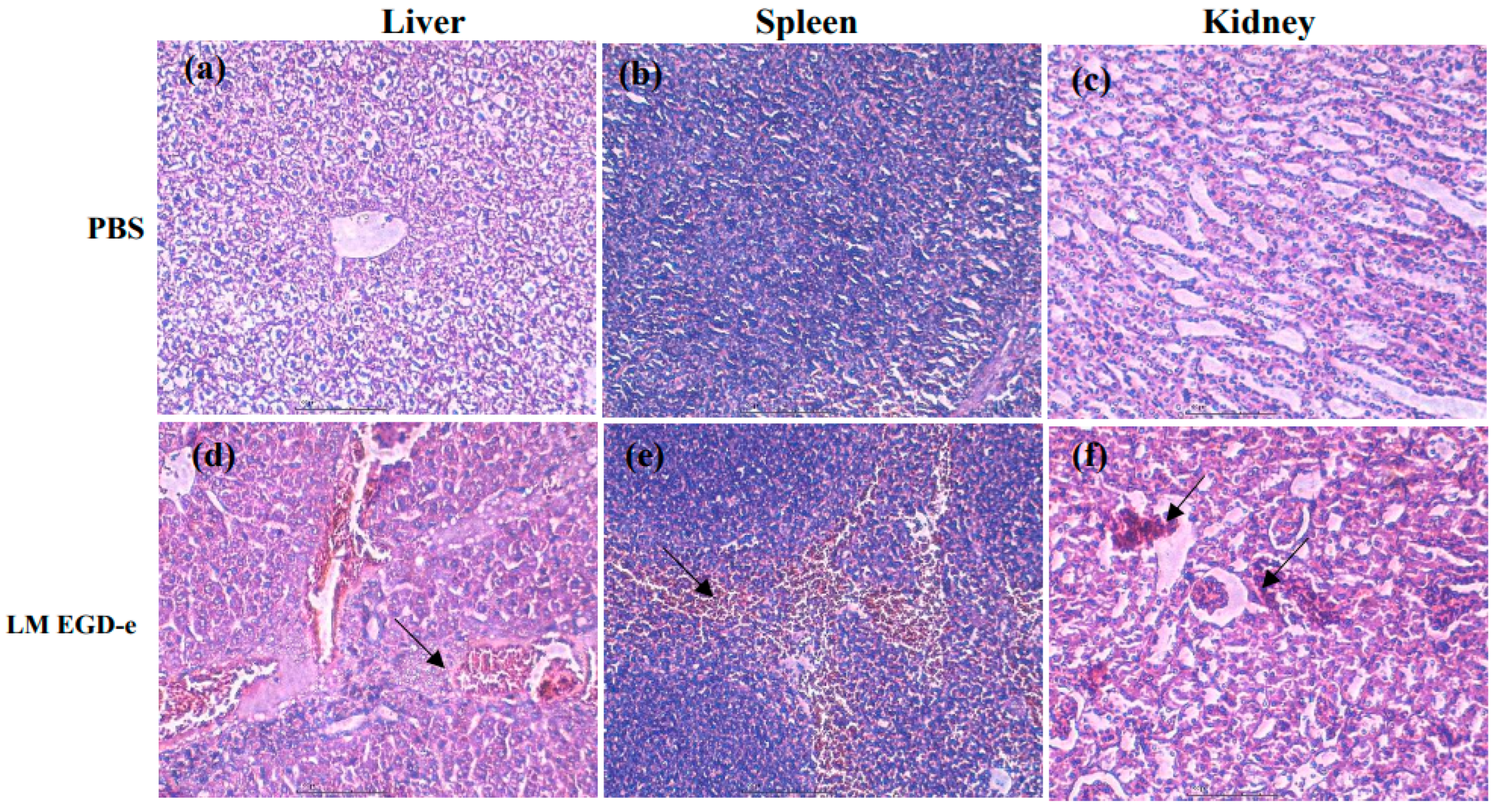 Pathogens 11 01137 g007a