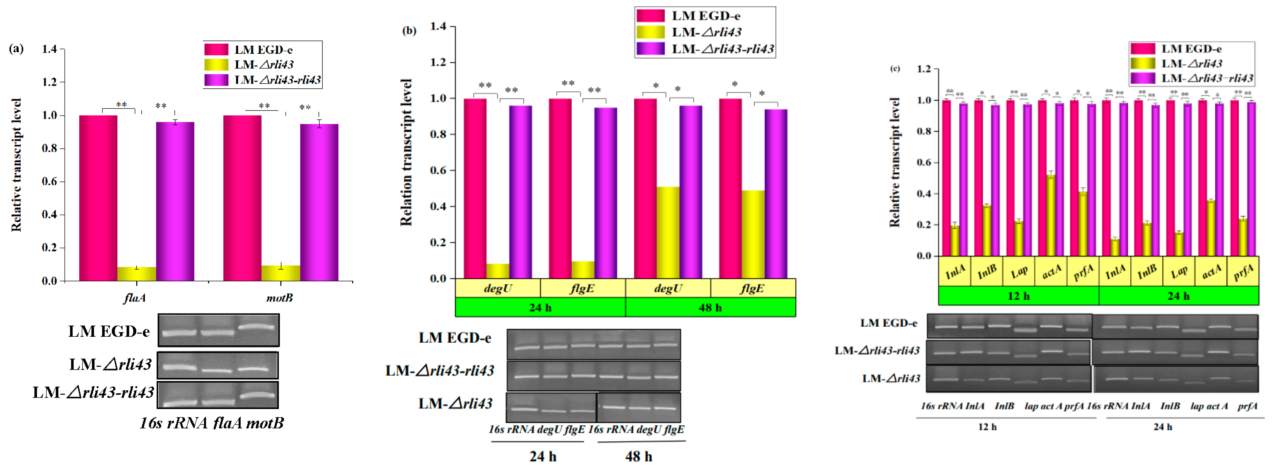 Pathogens 11 01137 g008