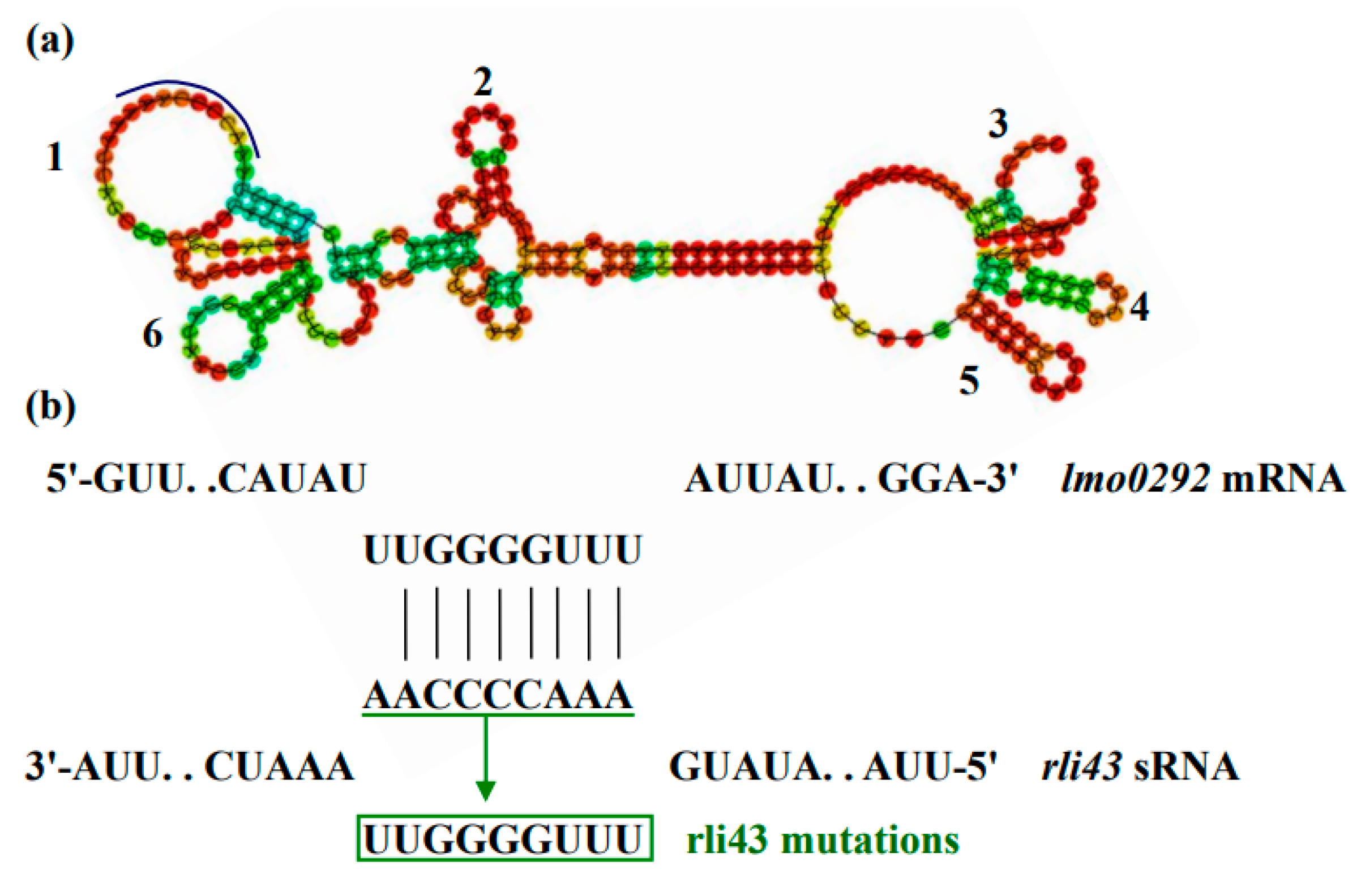 Pathogens 11 01137 g009a