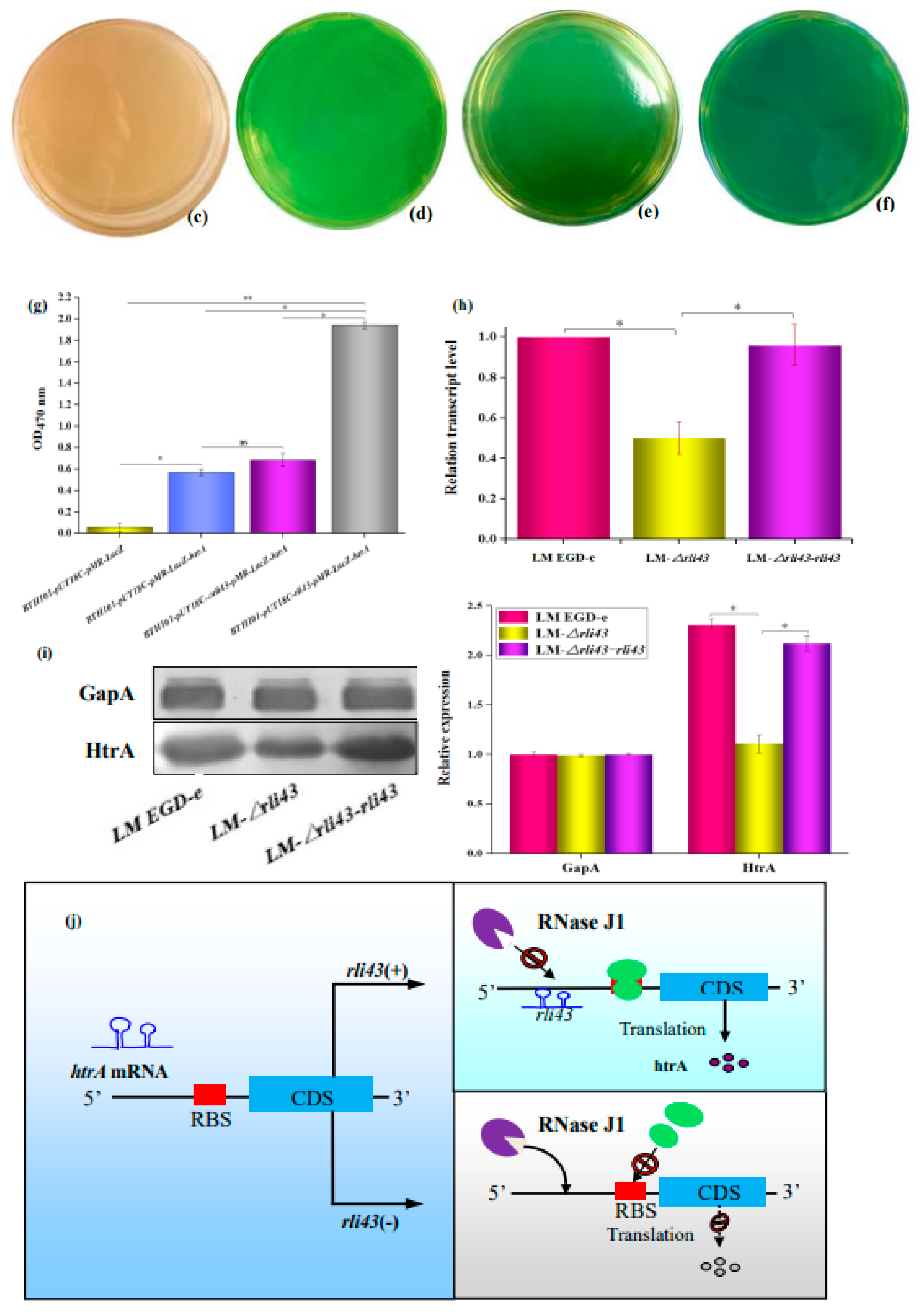 Pathogens 11 01137 g009b