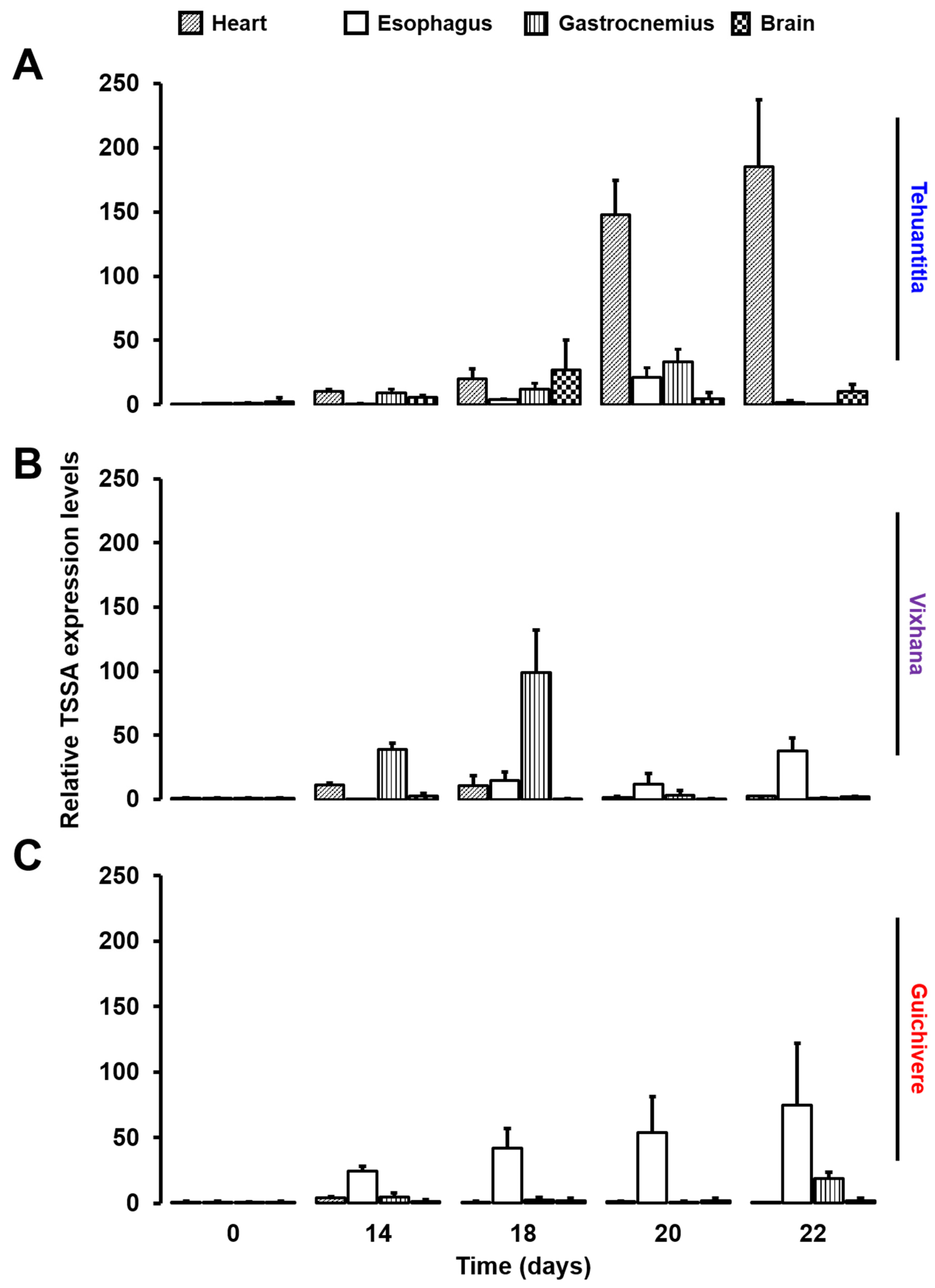 Pathogens 11 01141 g009 Pathogens 11 01141 g009