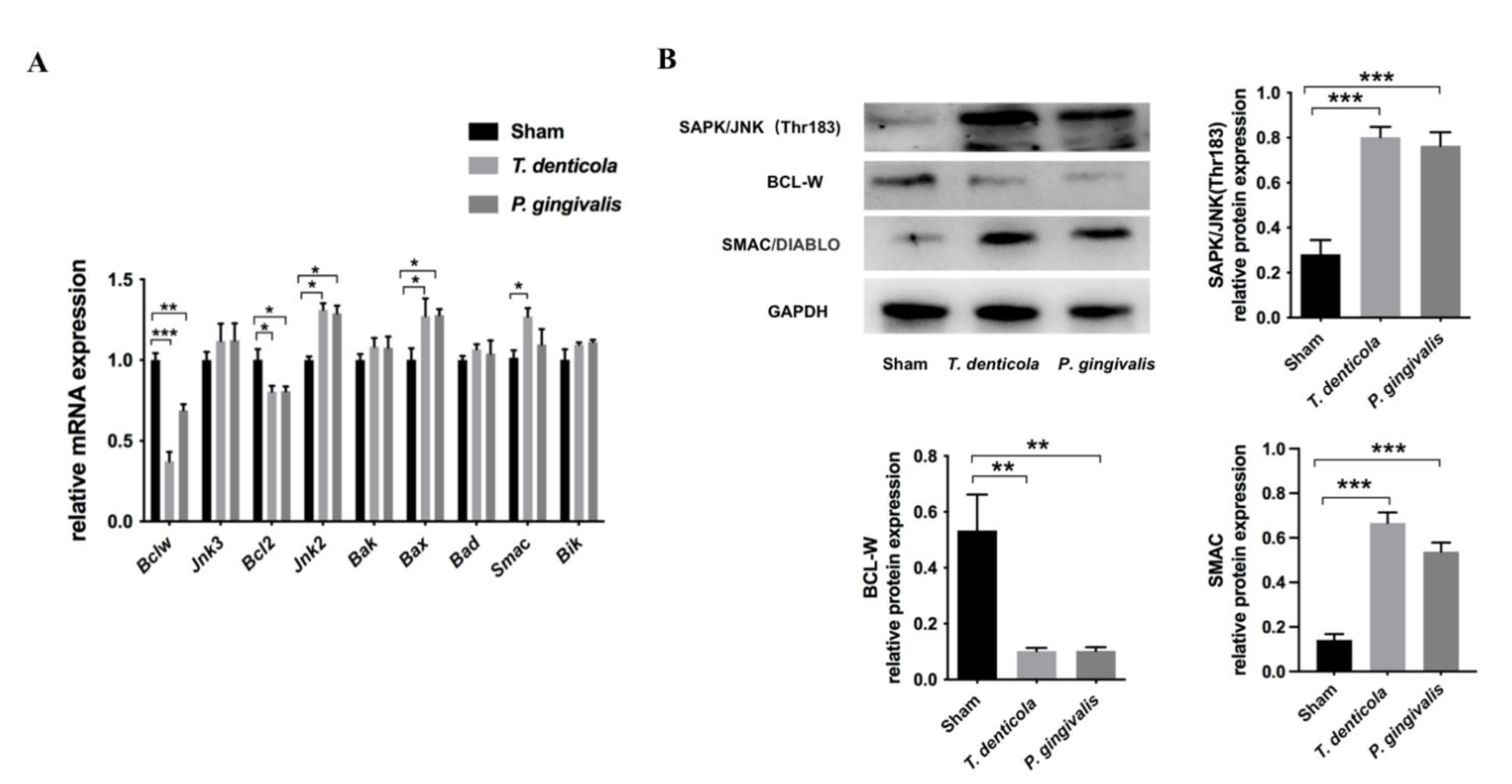 Pathogens 11 01150 g002