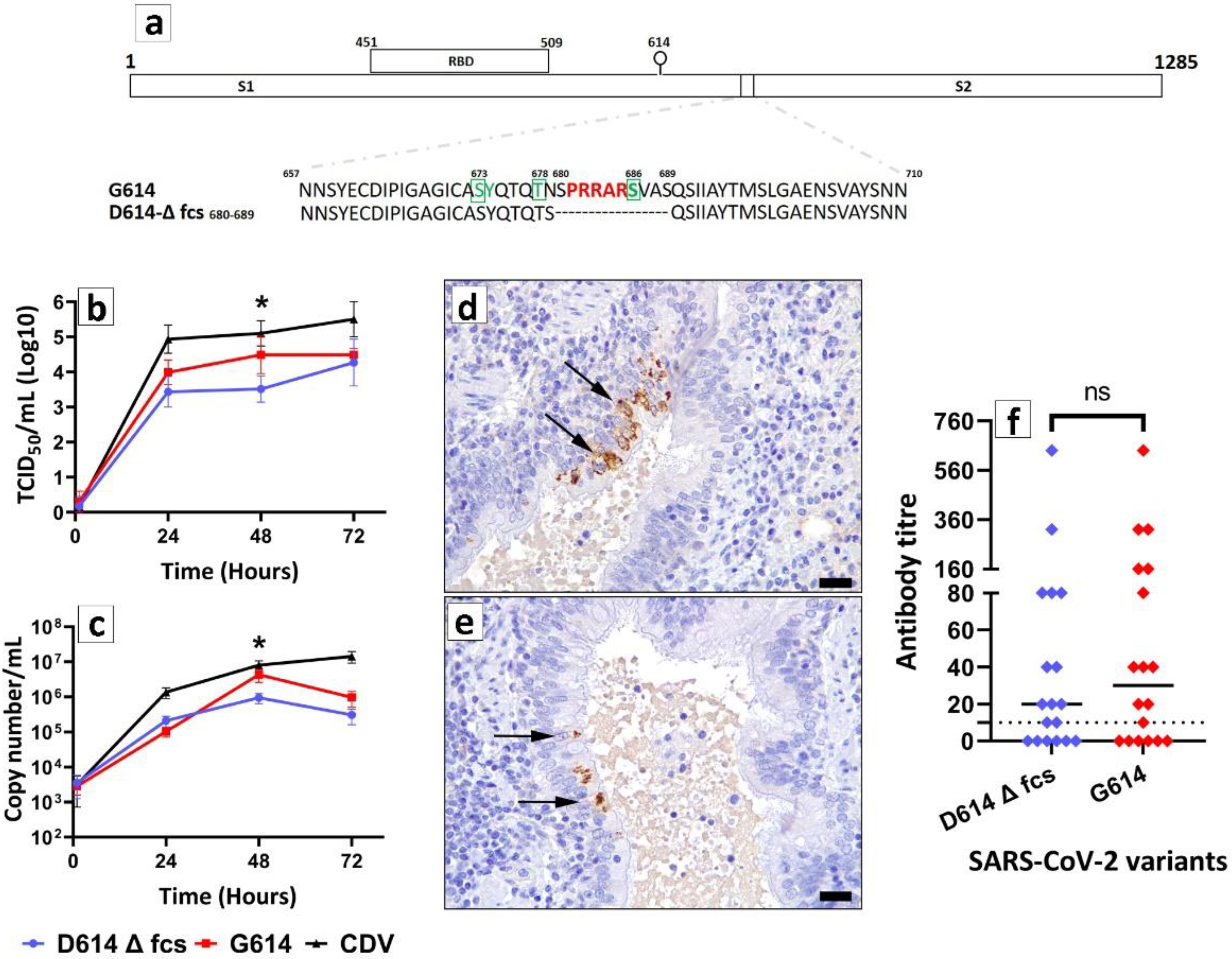Pathogens 11 01152 g001 Pathogens 11 01152 g001
