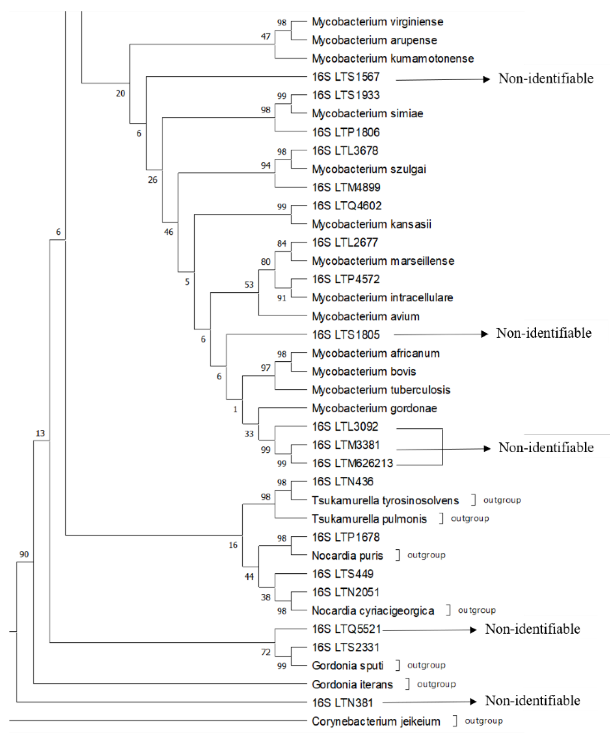 Pathogens 11 01159 g002 Pathogens 11 01159 g002