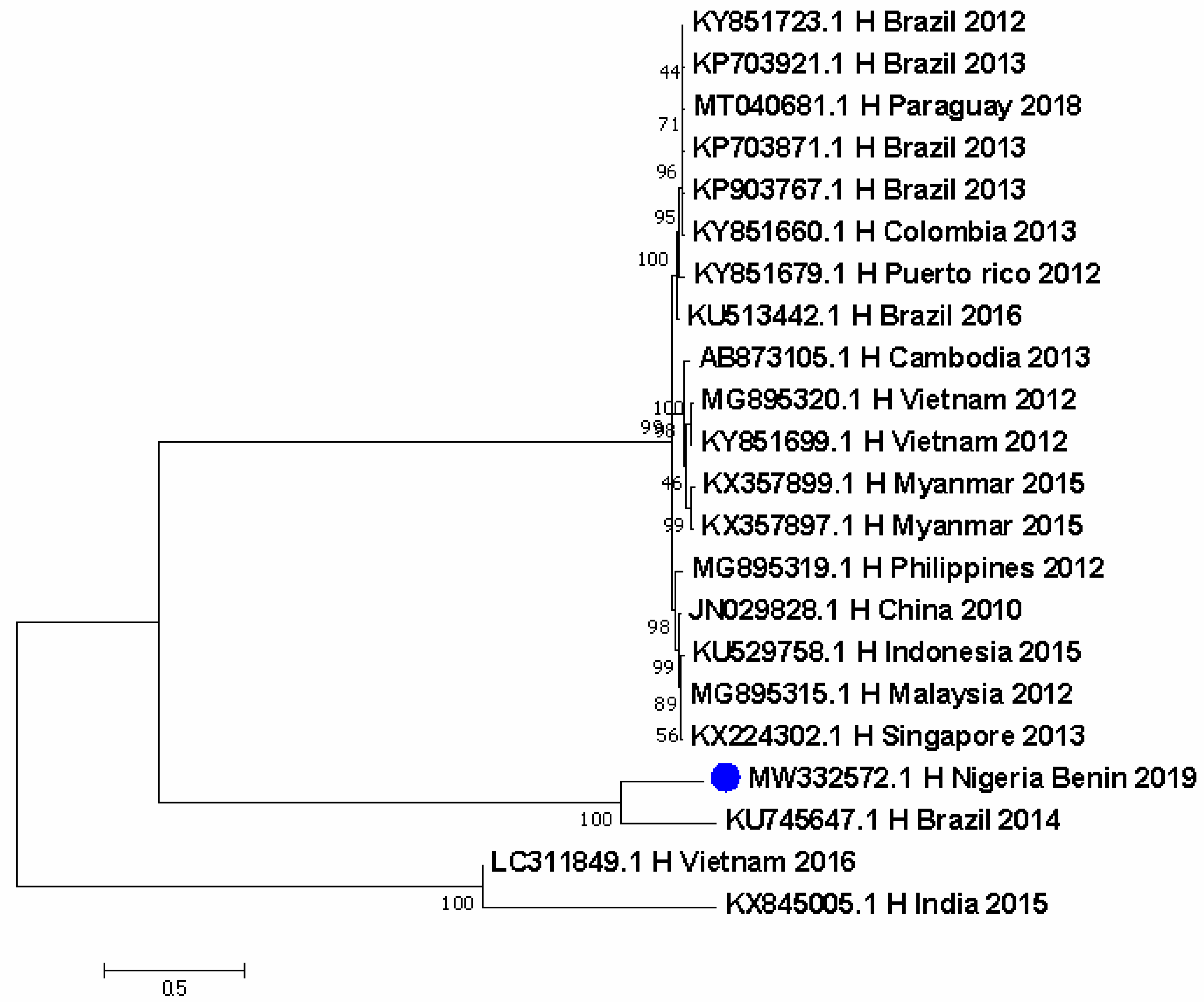 Pathogens 11 01162 g003