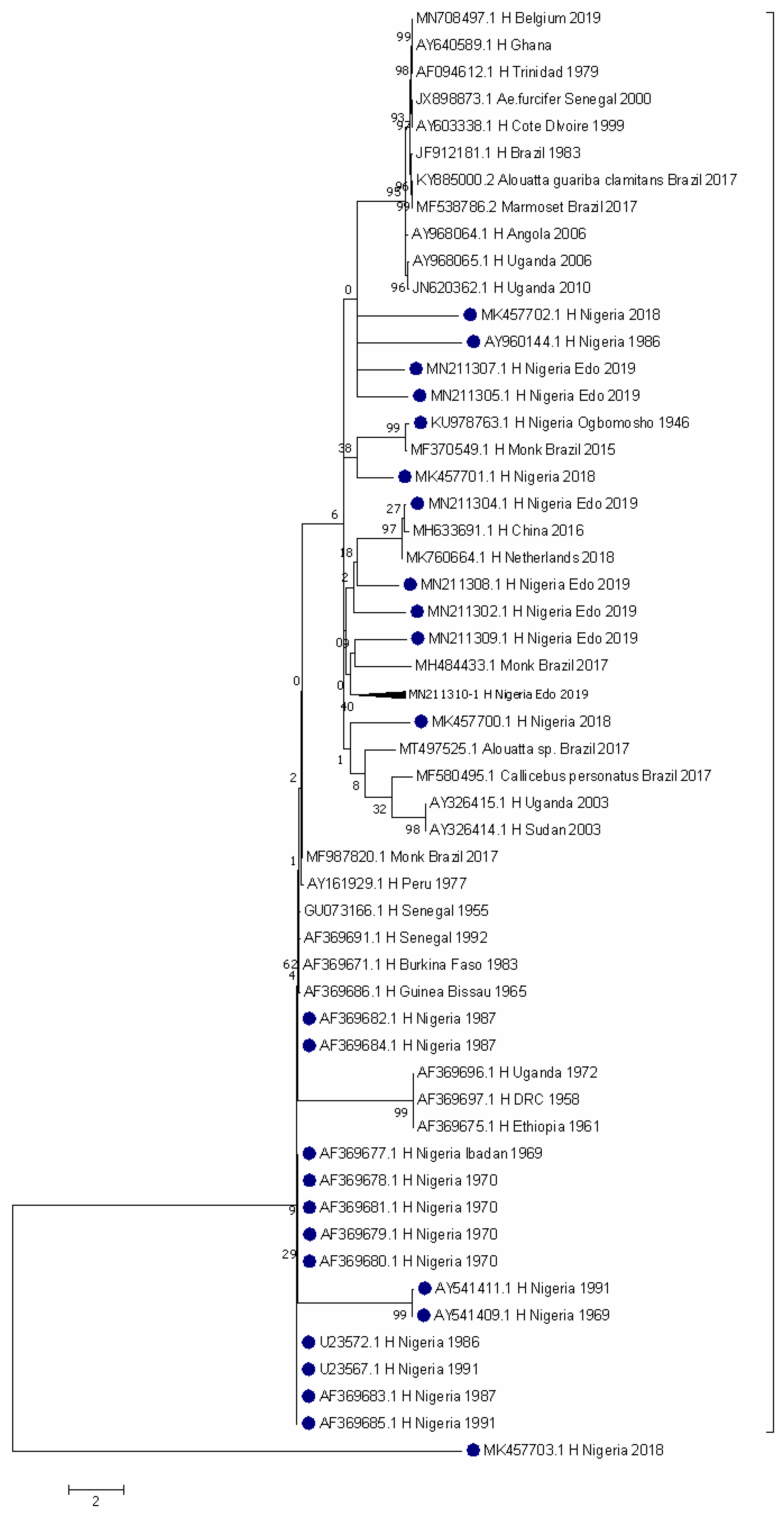 Pathogens 11 01162 g004