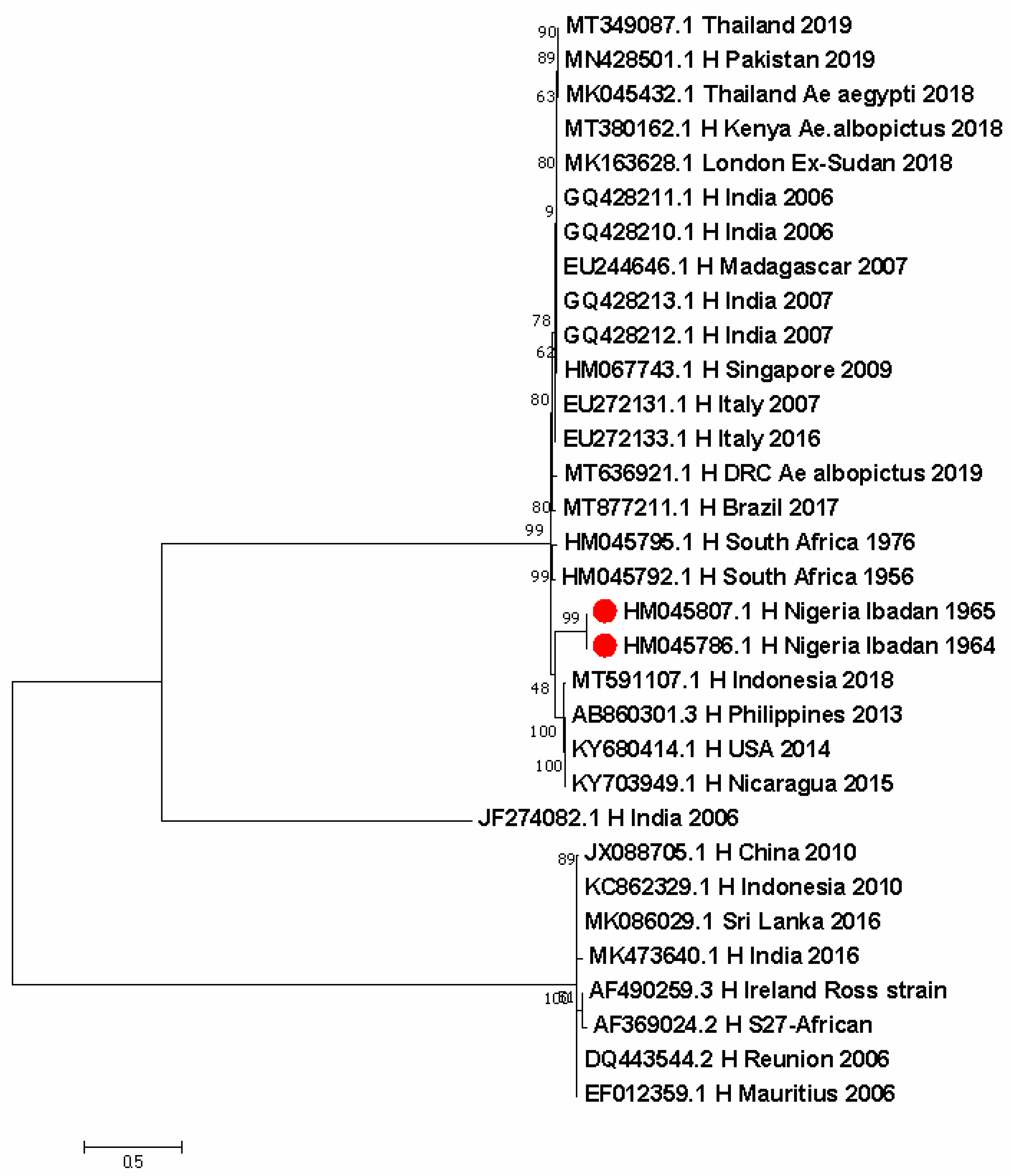 Pathogens 11 01162 g005