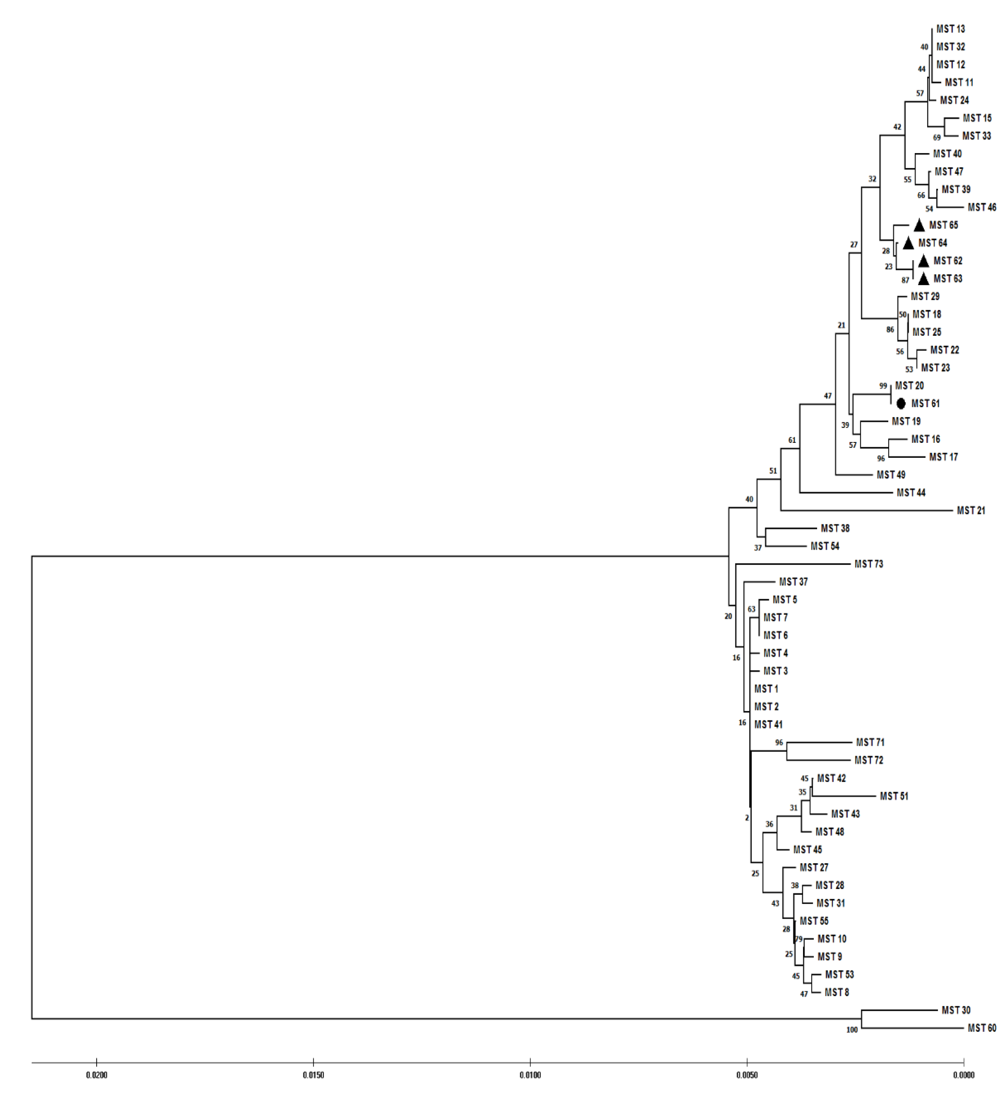 Pathogens 11 01175 g002 Pathogens 11 01175 g002