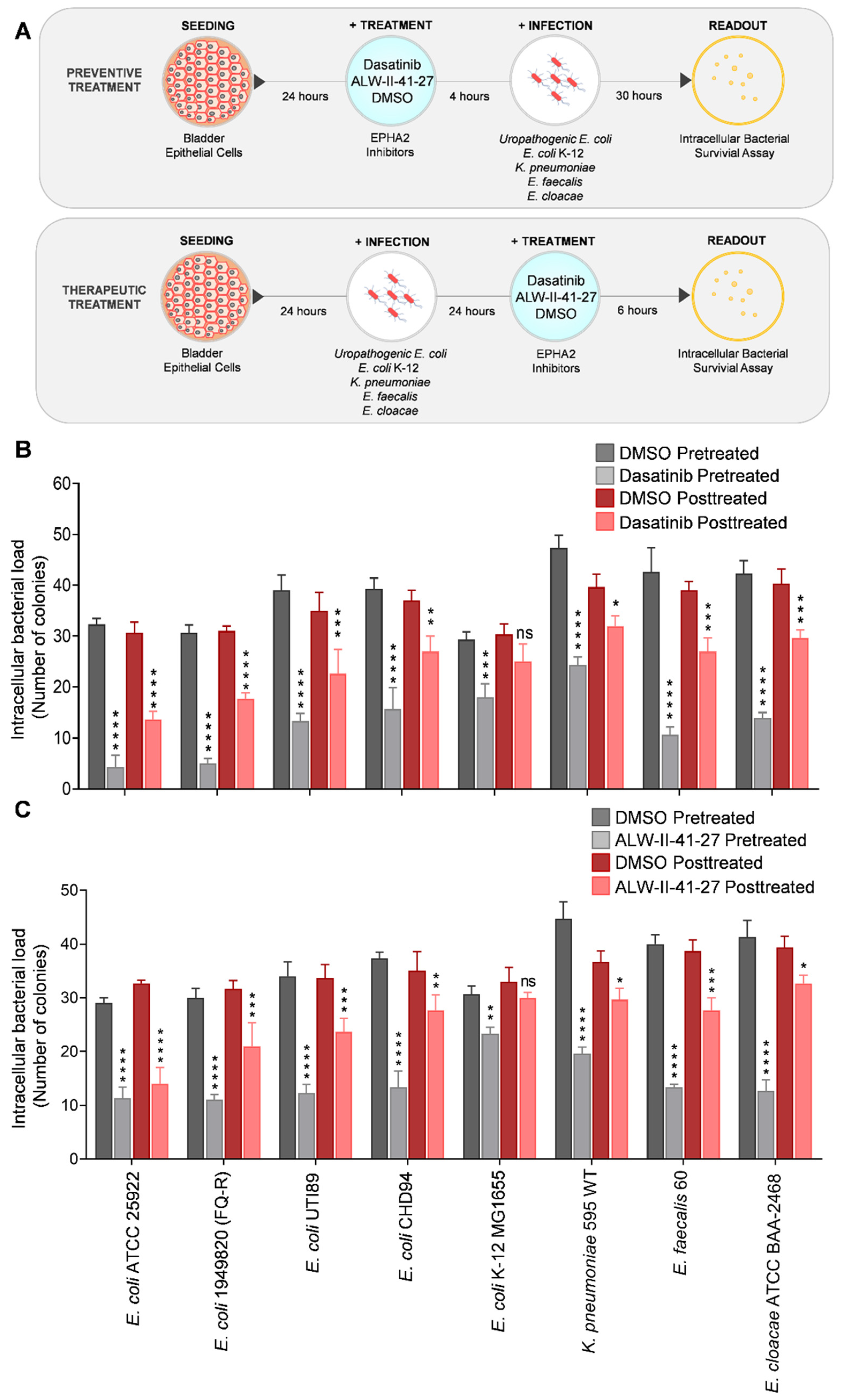 Pathogens 11 01176 g003