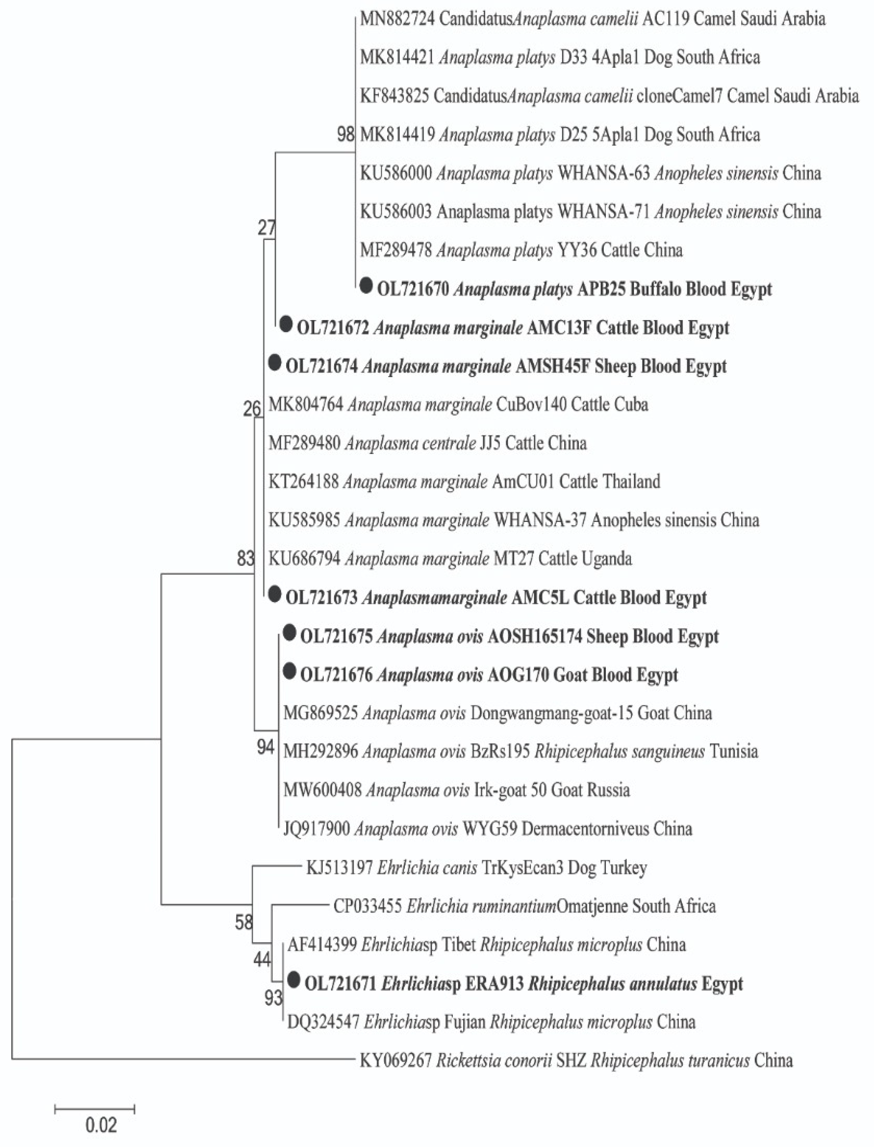 Pathogens 11 01194 g002 Pathogens 11 01194 g002