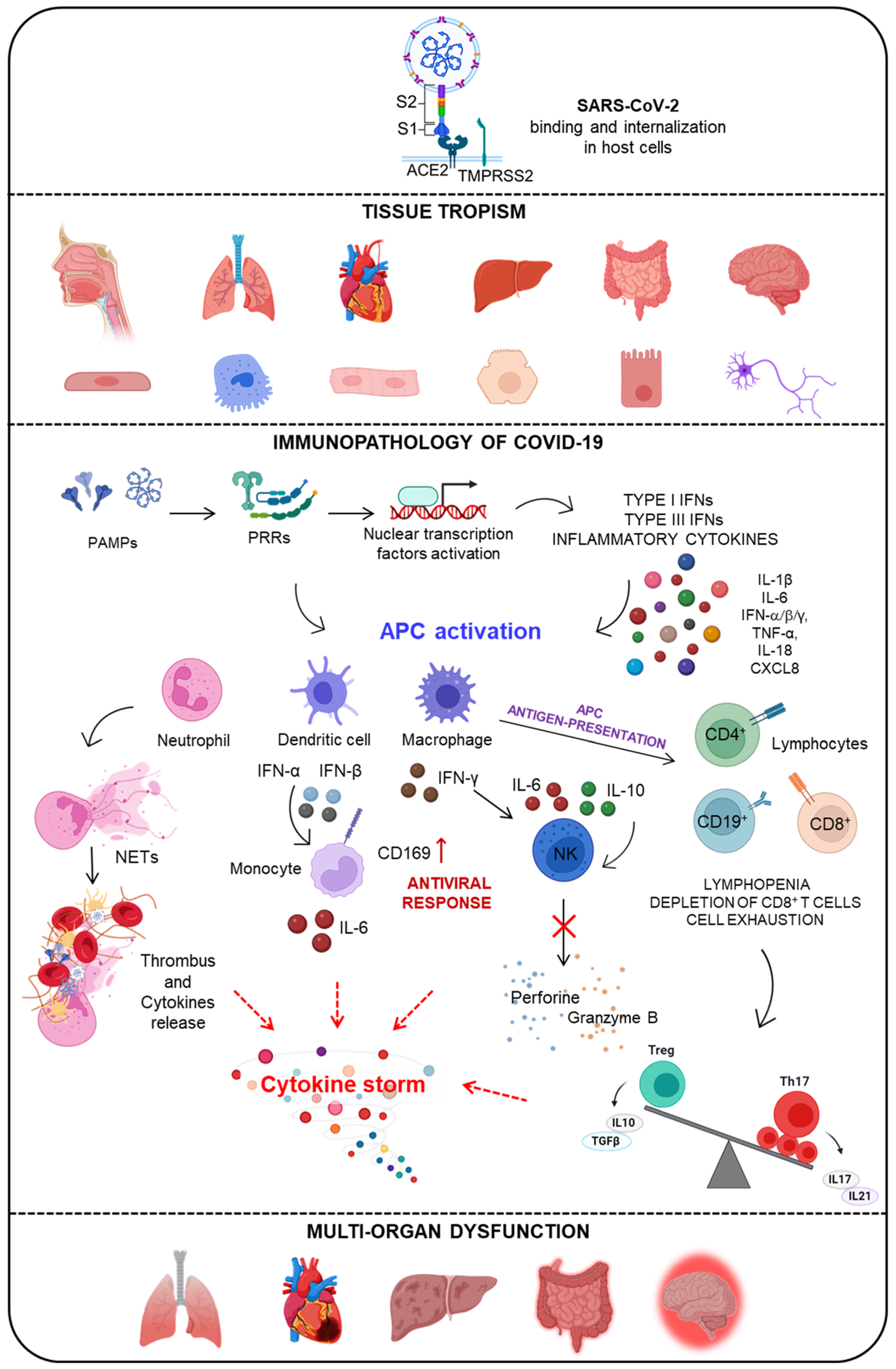 Pathogens 11 01198 g001