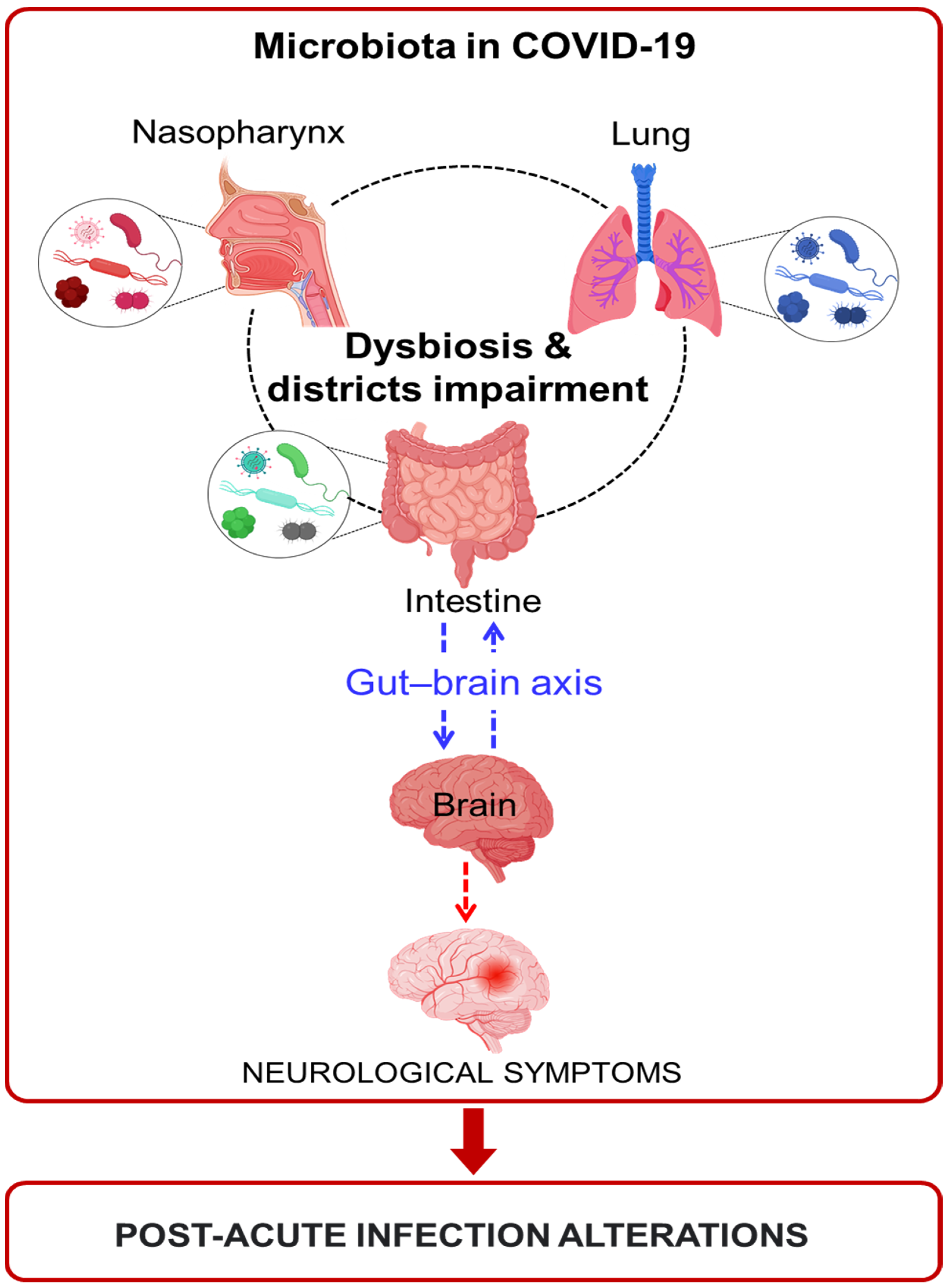 Pathogens 11 01198 g003