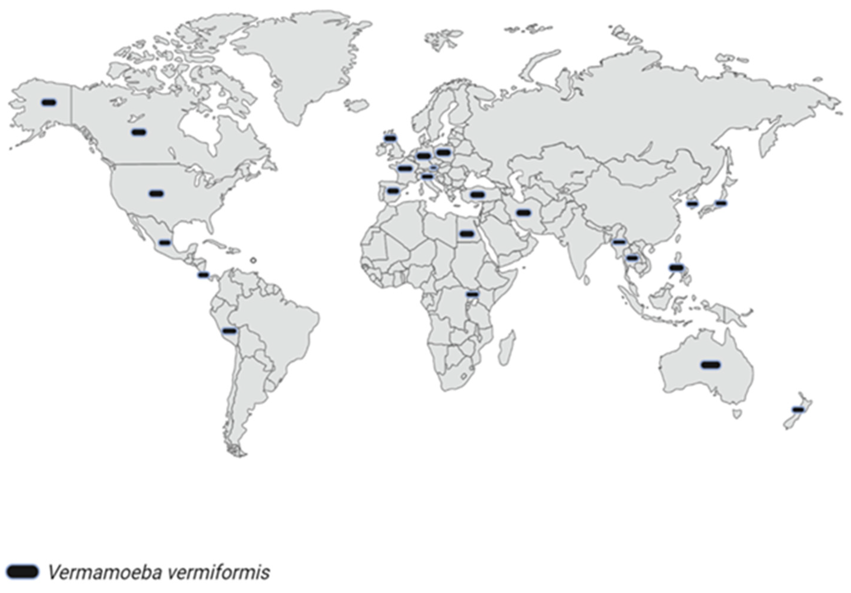 Pathogens 11 01199 g004 Pathogens 11 01199 g004