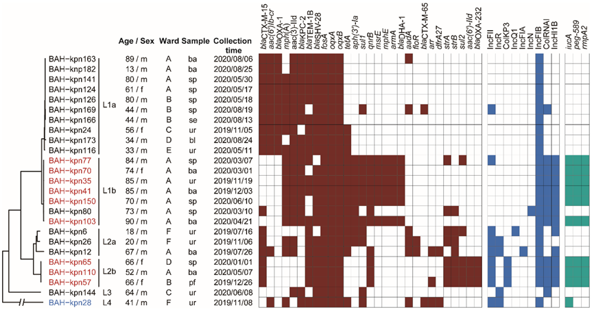 Pathogens 11 01202 g001