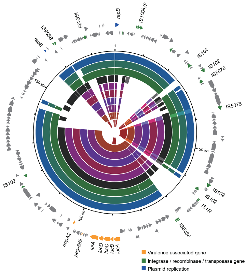 Pathogens 11 01202 g003