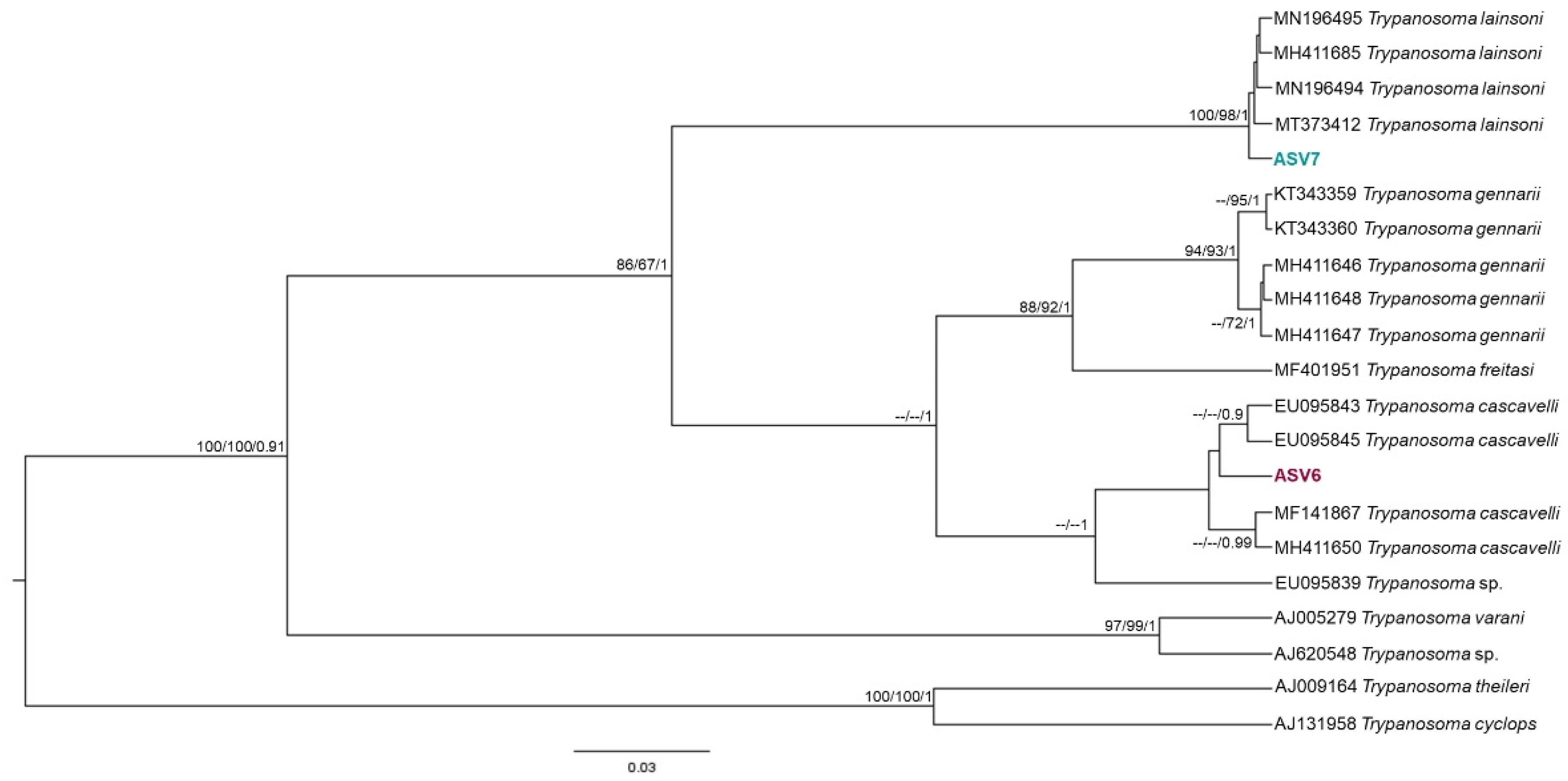 Pathogens 11 01205 g003
