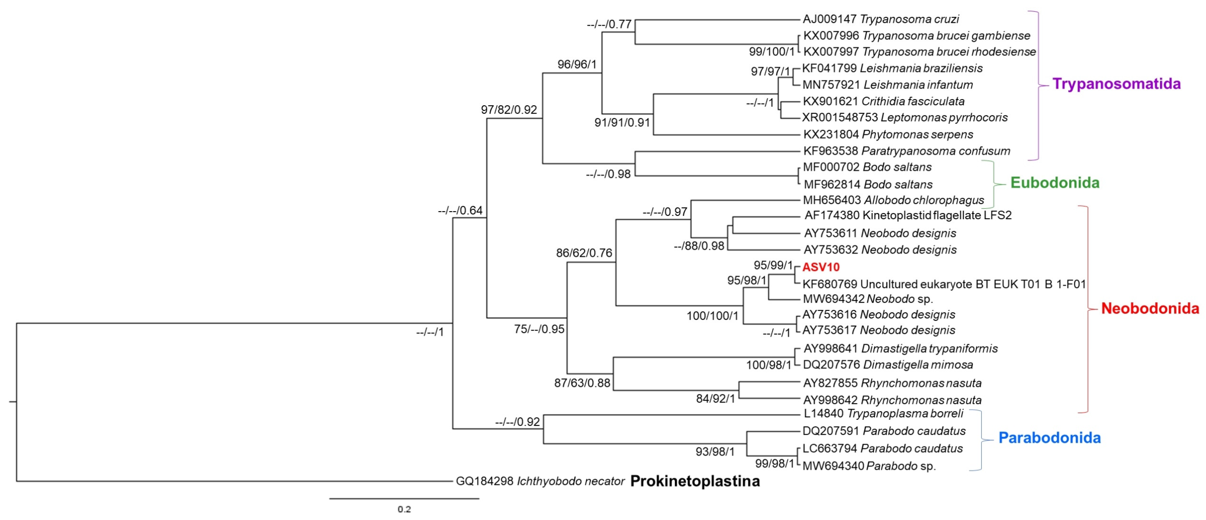Pathogens 11 01205 g005