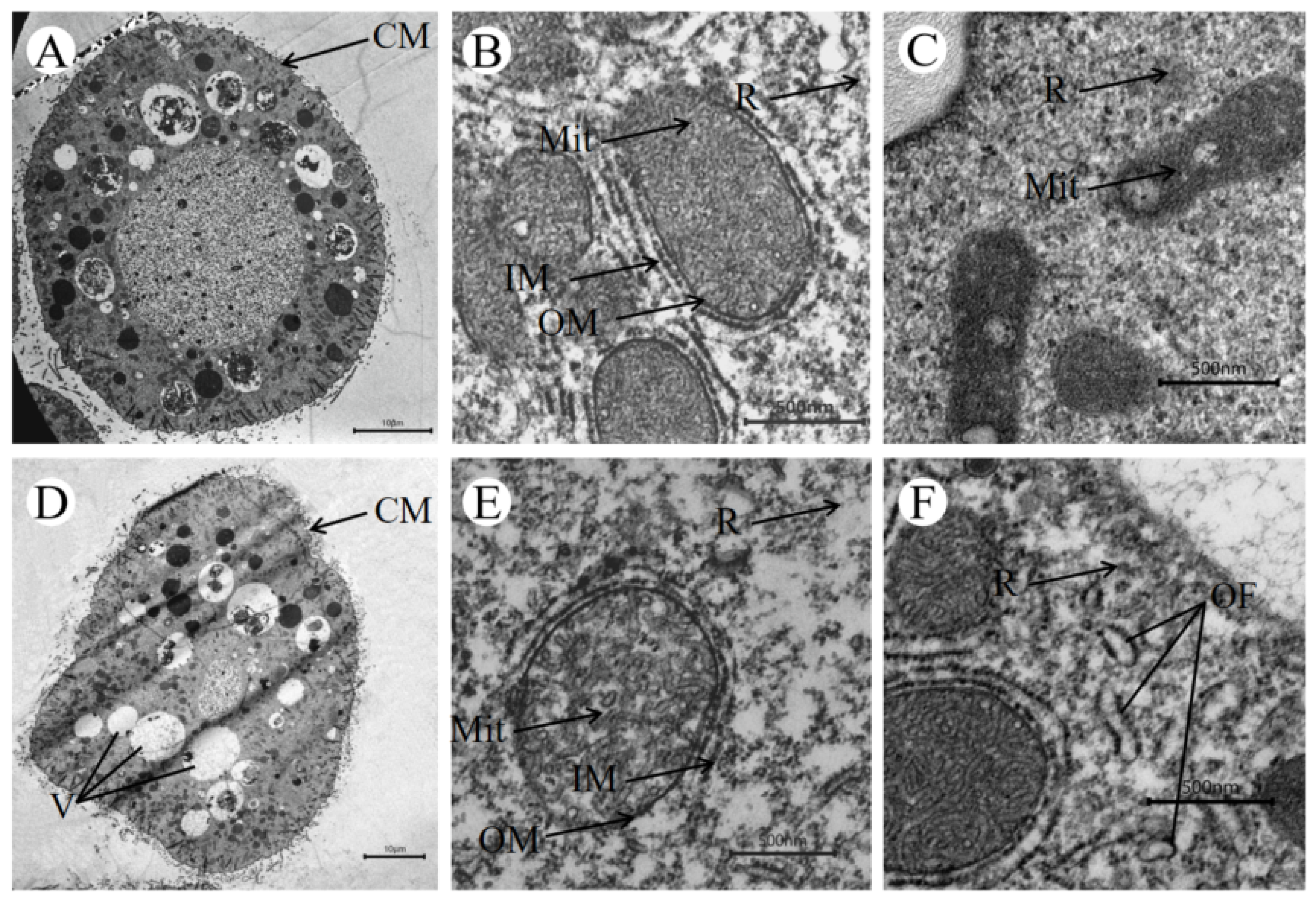 Pathogens 11 01207 g002
