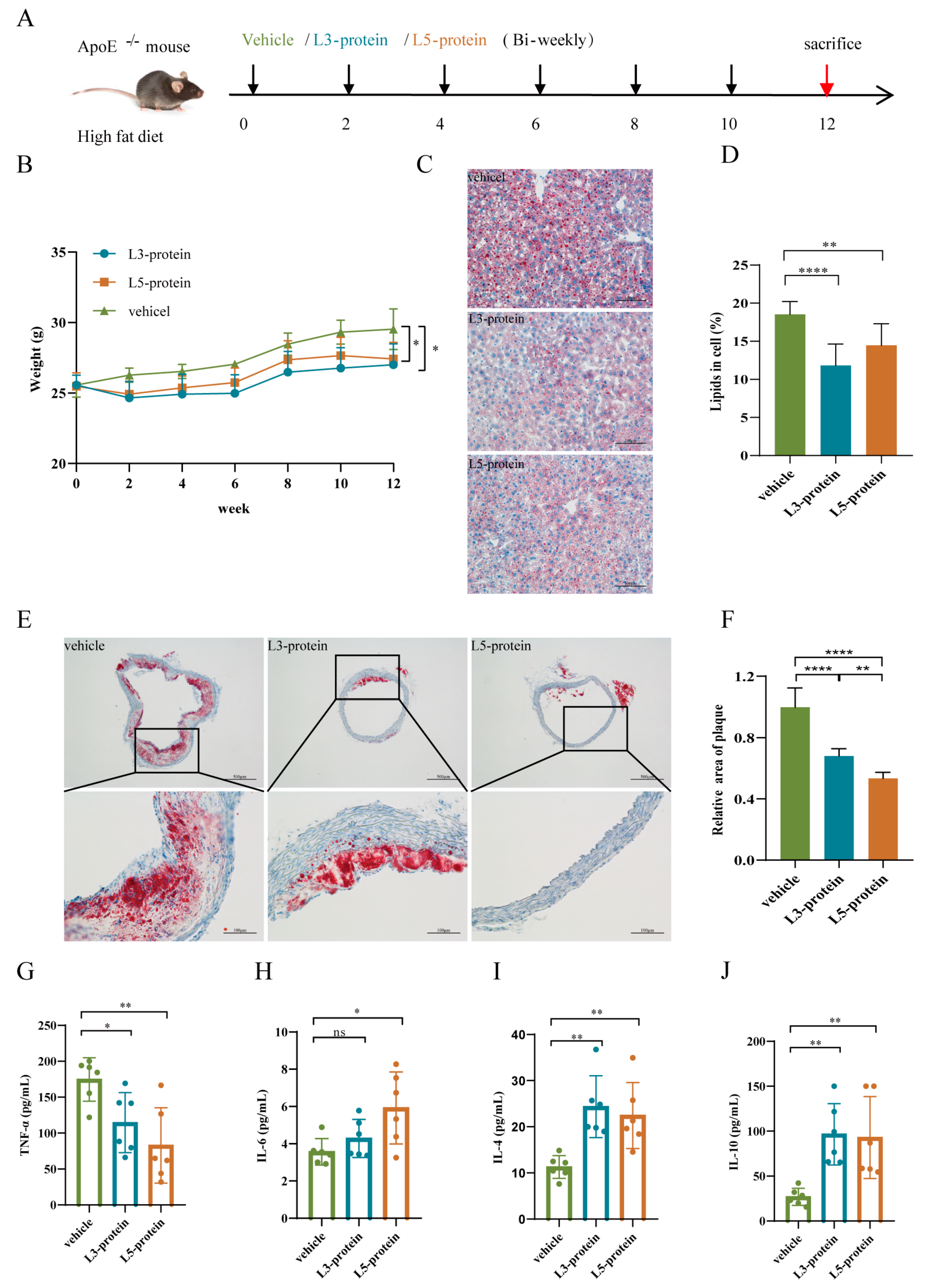 Pathogens 11 01208 g002