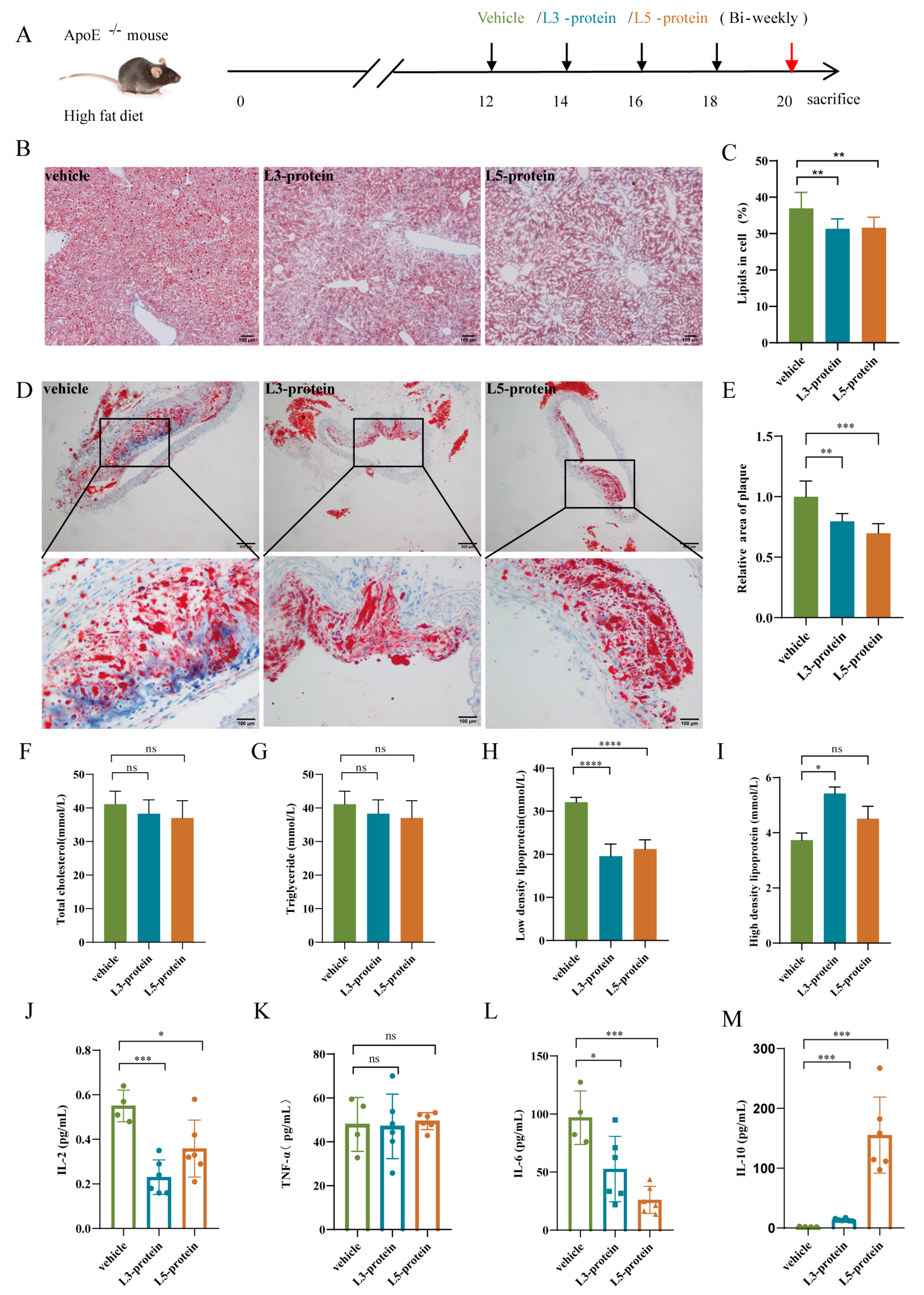 Pathogens 11 01208 g004