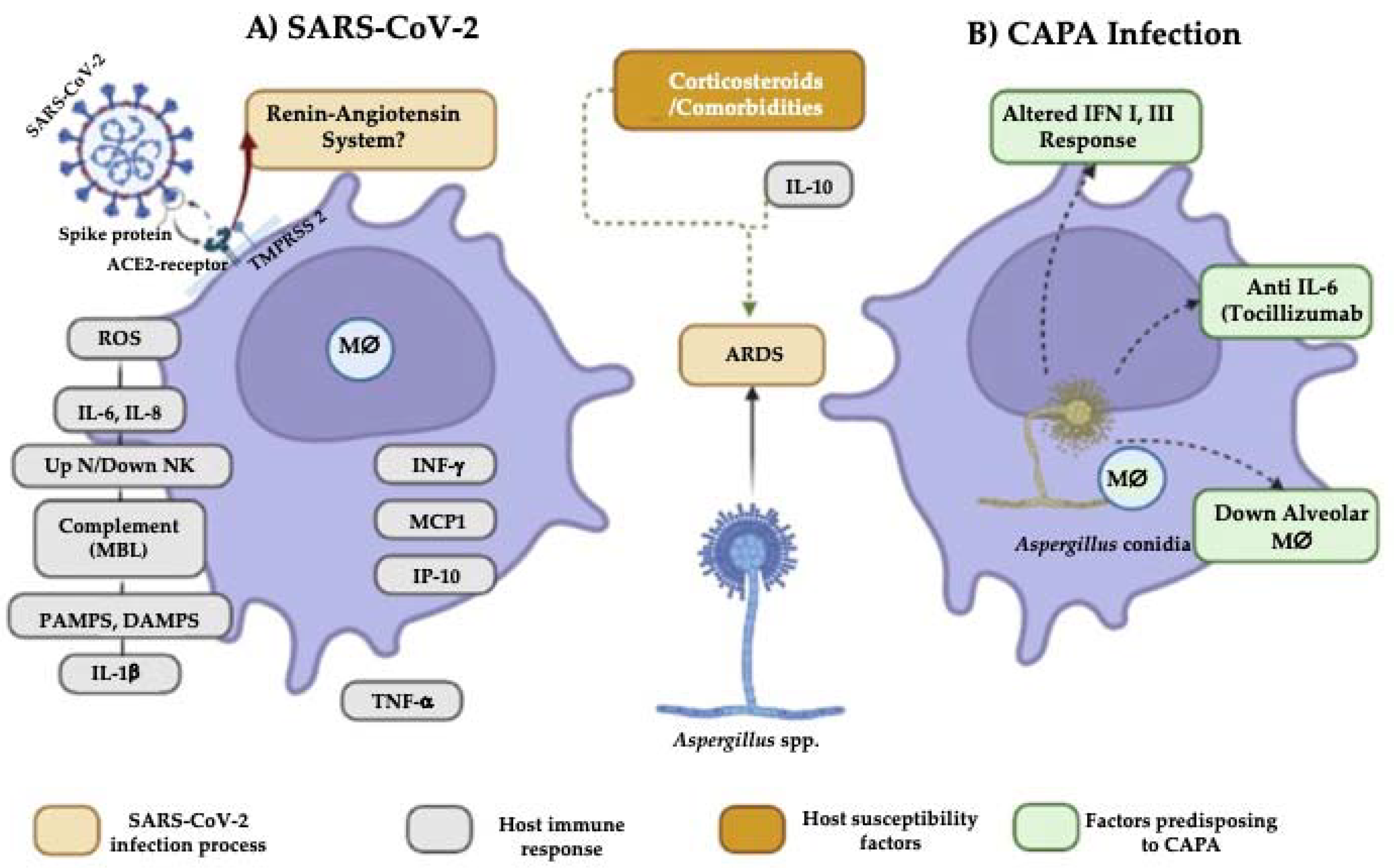 Pathogens 11 01227 g001