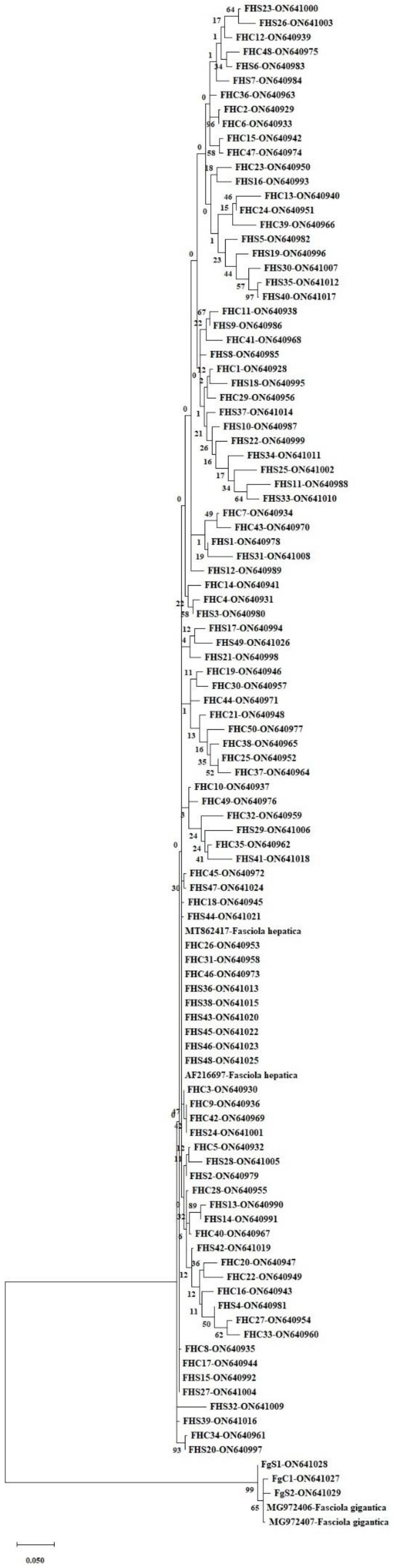 Pathogens 11 01235 g001