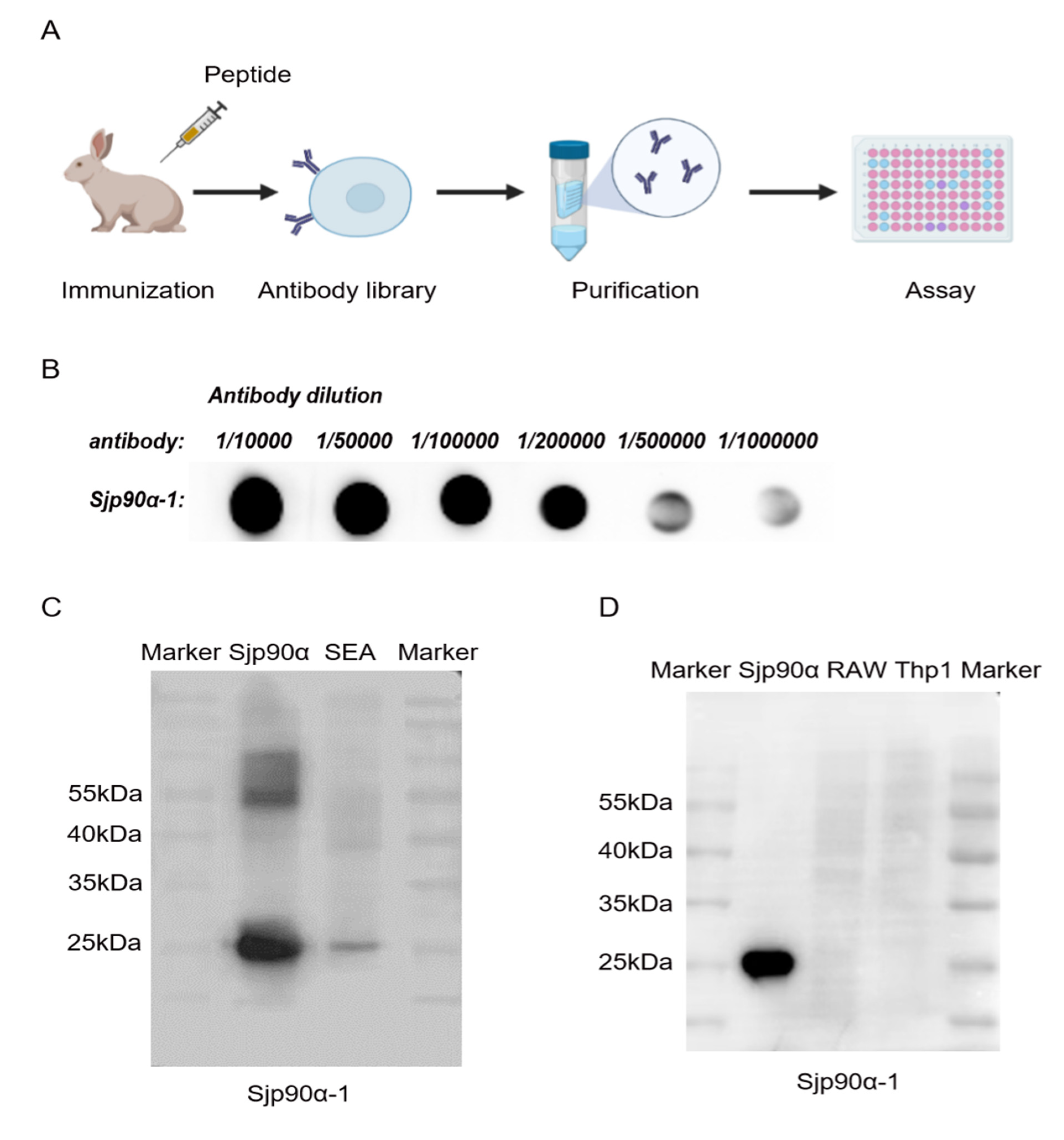 Pathogens 11 01238 g004